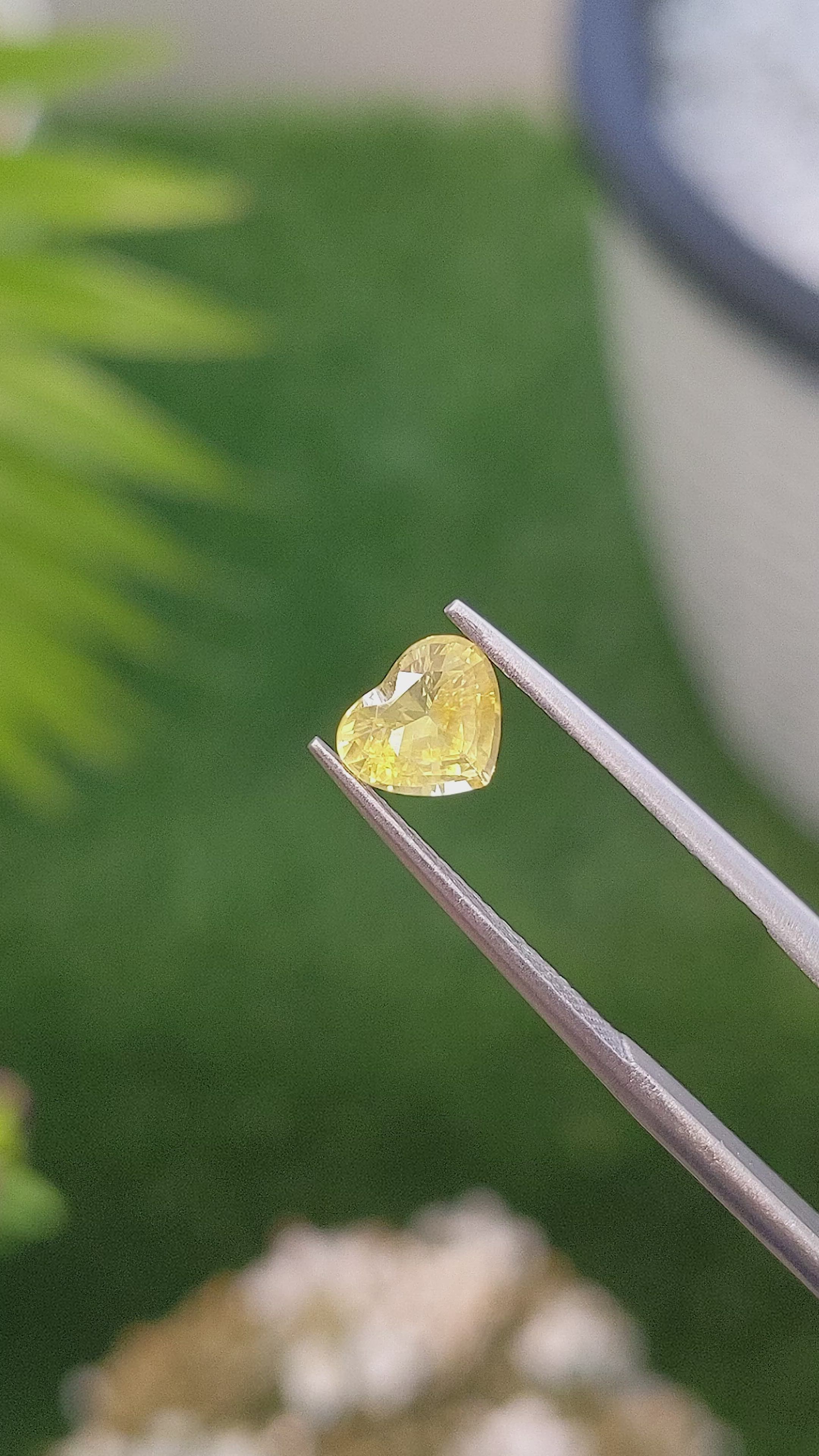 1.10 Ct. Yellow Sapphire from Ceylon (Sri Lanka) Size Video