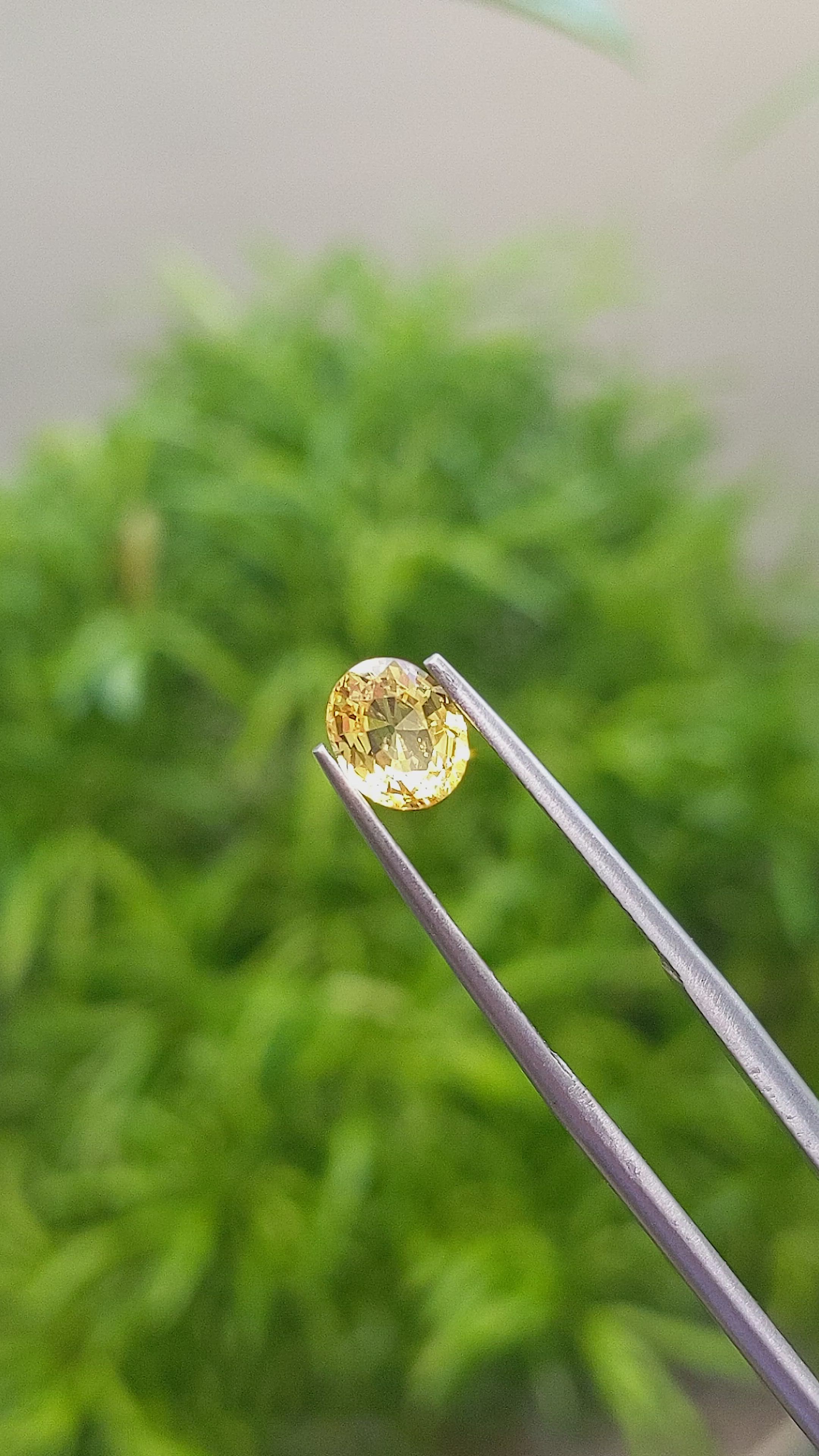 1.06 Ct. Yellow Sapphire from Ceylon (Sri Lanka) Size Video