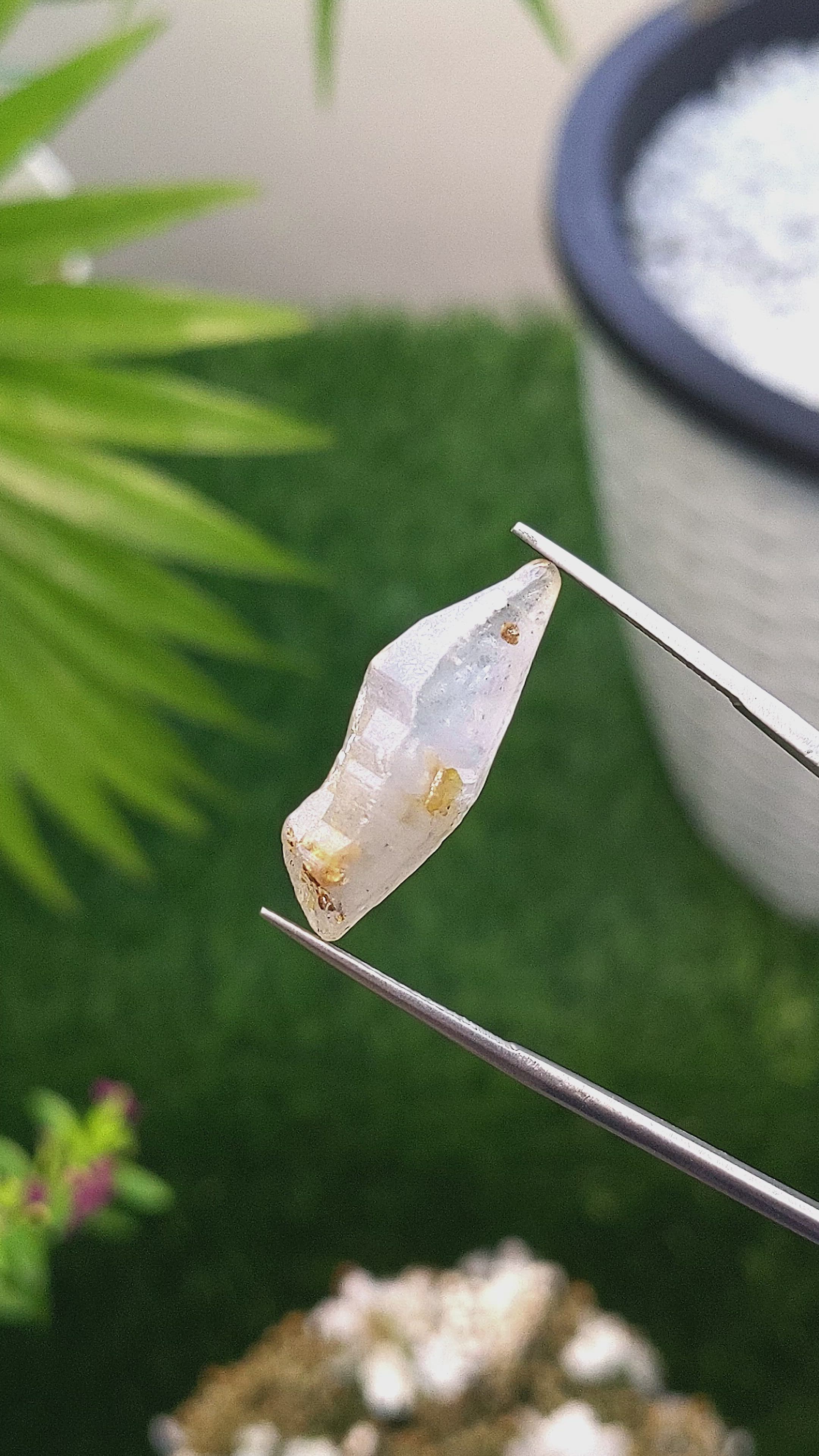 16.54 Ct. White Sapphire Crystal from Ceylon (Sri Lanka) Size Video