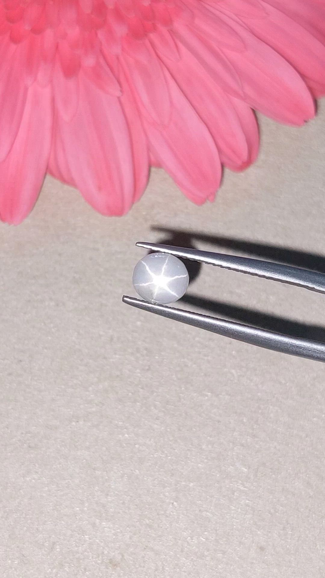 1.03 Ct. White Star Sapphire from Ceylon (Sri Lanka) Size Video