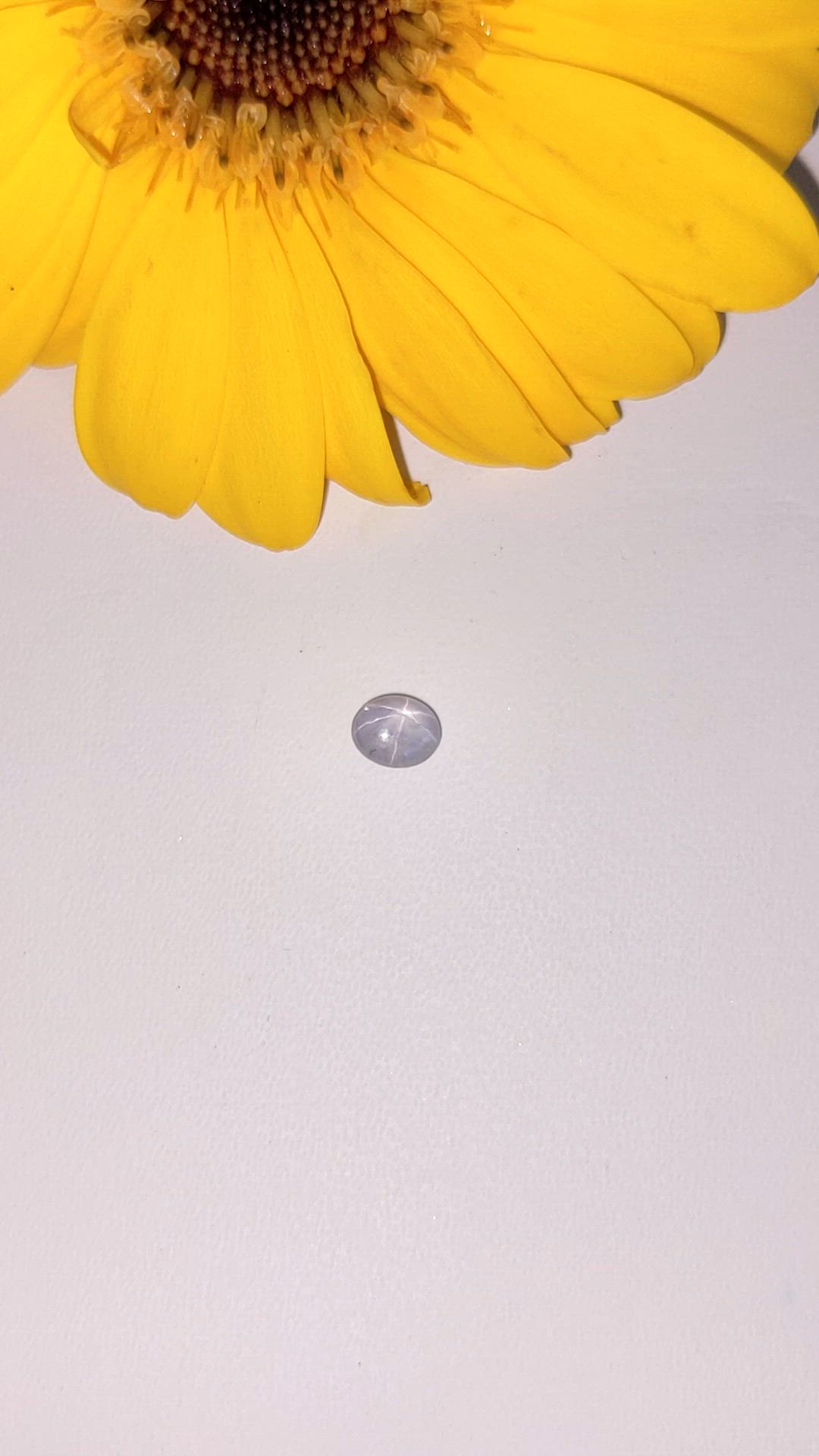 1.17 Ct. Grey Star Sapphire from Ceylon (Sri Lanka) Size Video