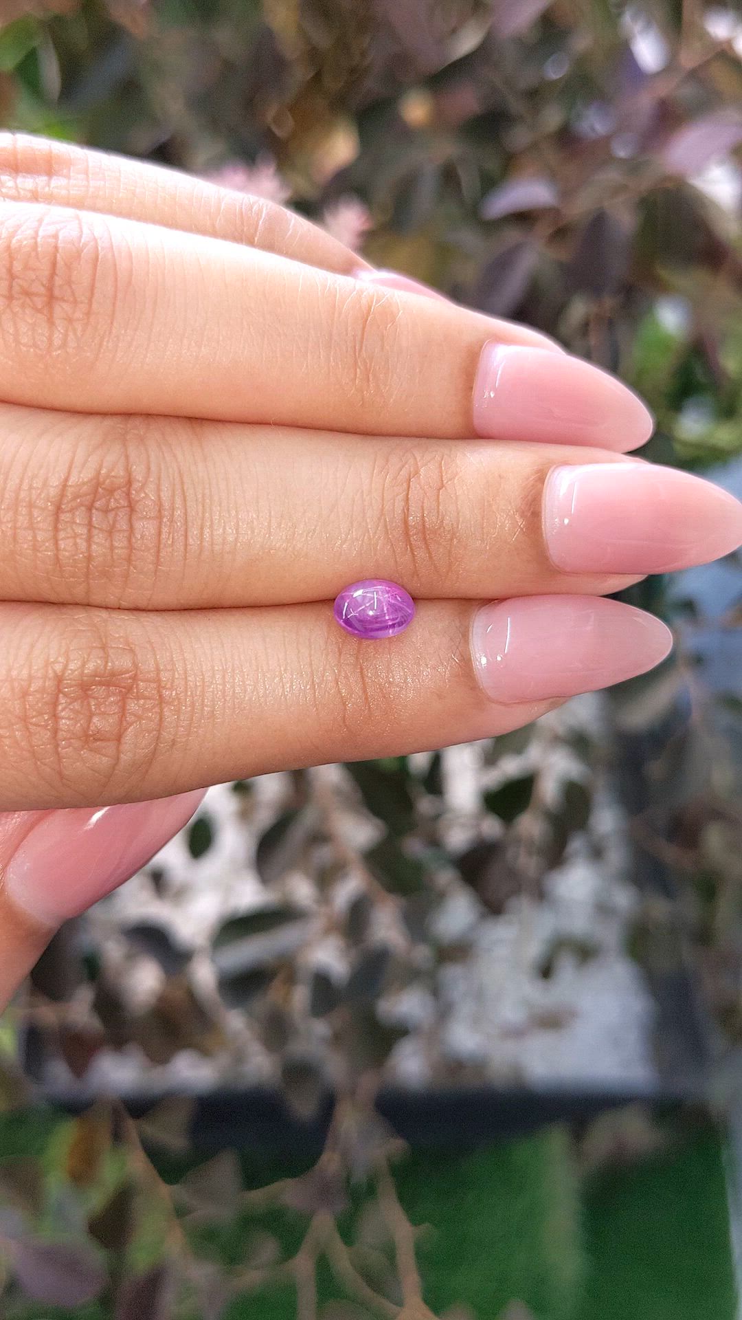 1.87 Ct. Pinkish Purple Star Sapphire from Ceylon (Sri Lanka) Size Video