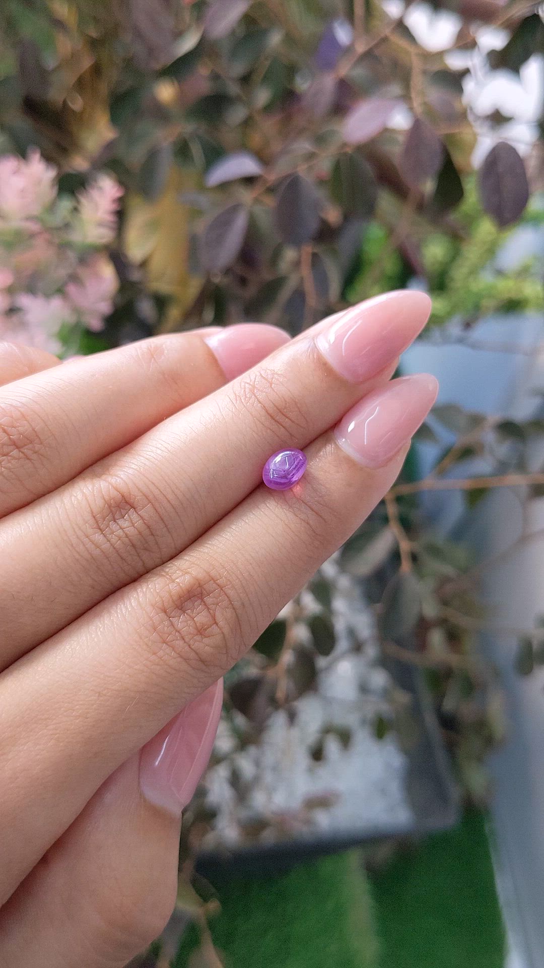 1.87 Ct. Pinkish Purple Star Sapphire from Ceylon (Sri Lanka) Size Video