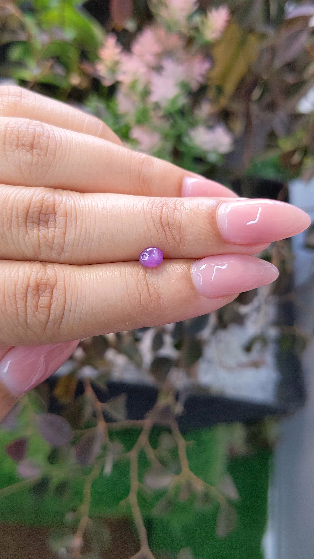 0.70 Ct. Purplish Pink Star Sapphire from Ceylon (Sri Lanka) Size Video