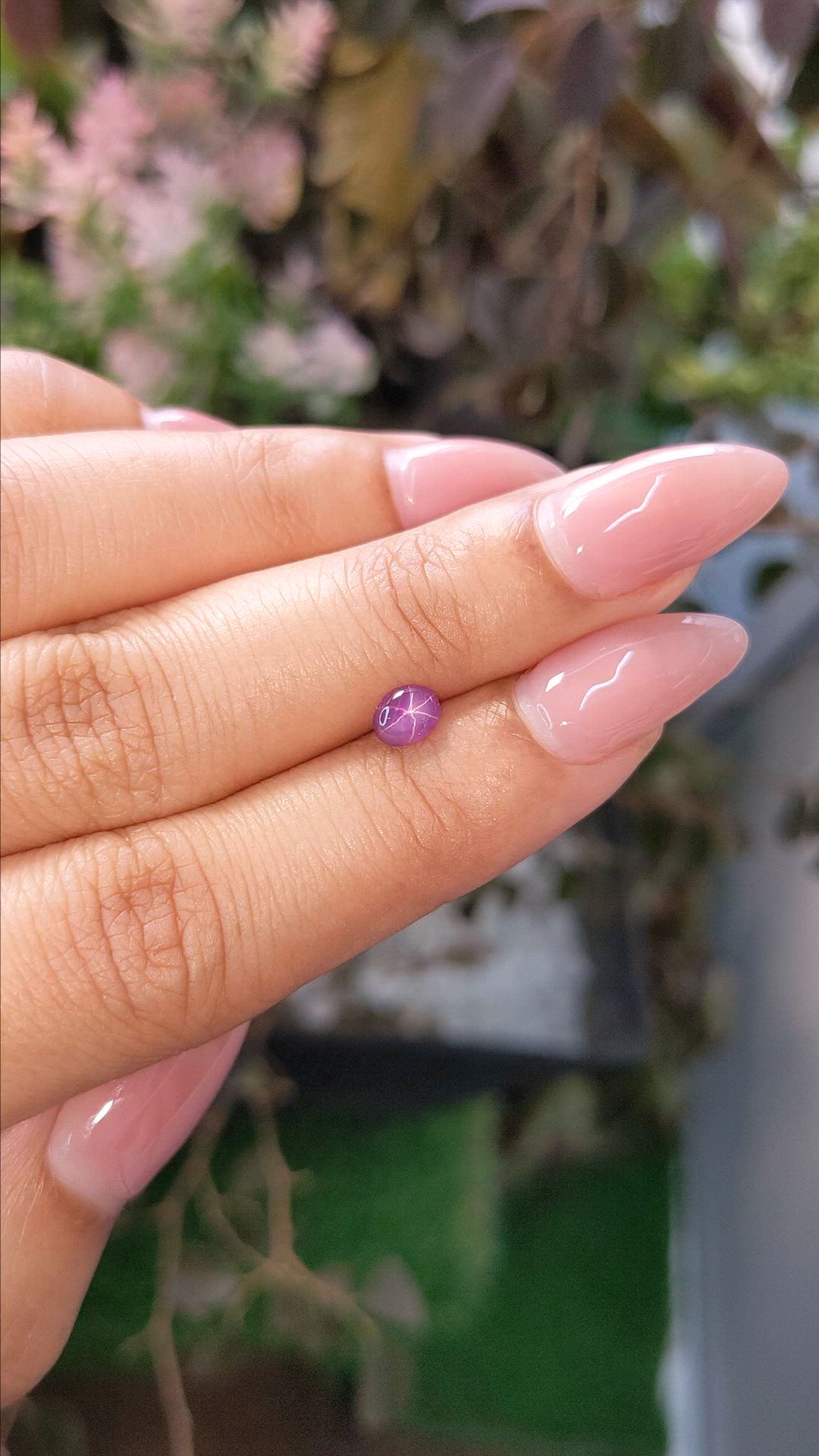 0.70 Ct. Purplish Pink Star Sapphire from Ceylon (Sri Lanka) Size Video
