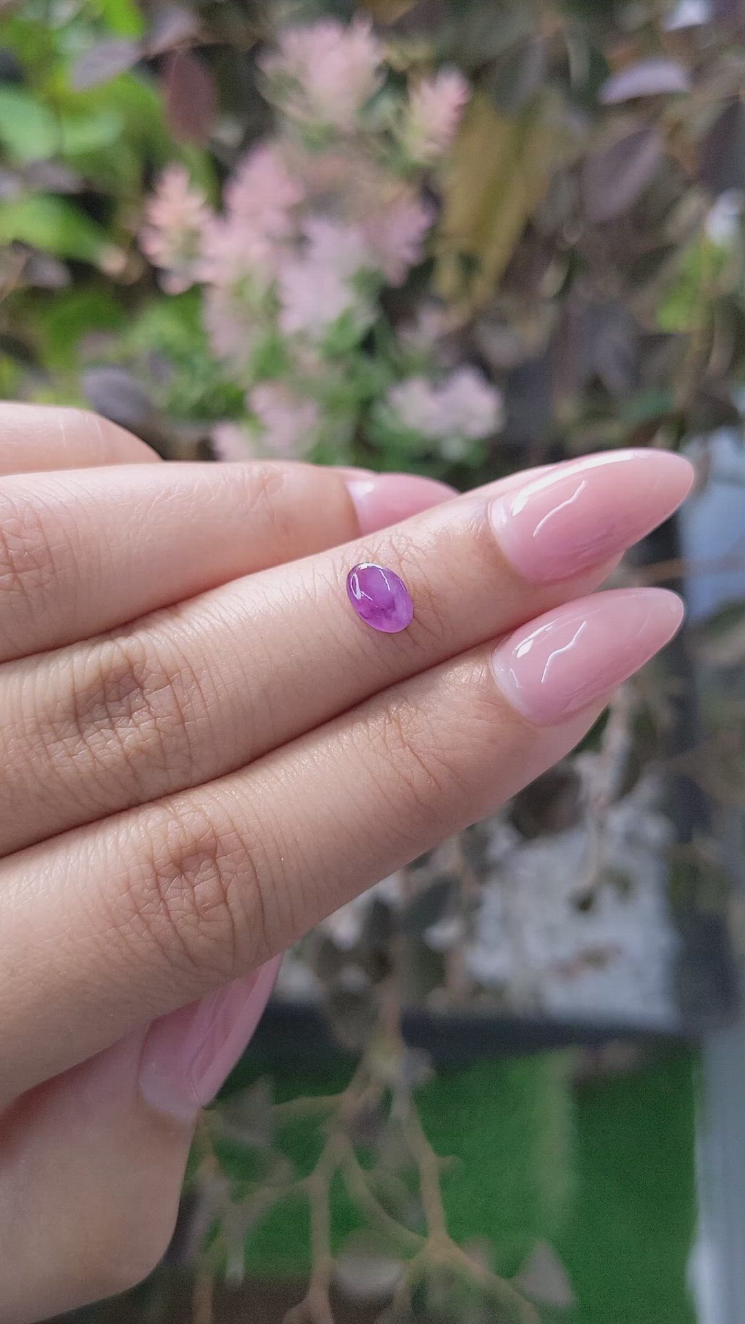 0.77 Ct. Purple Star Sapphire from Ceylon (Sri Lanka) Size Video