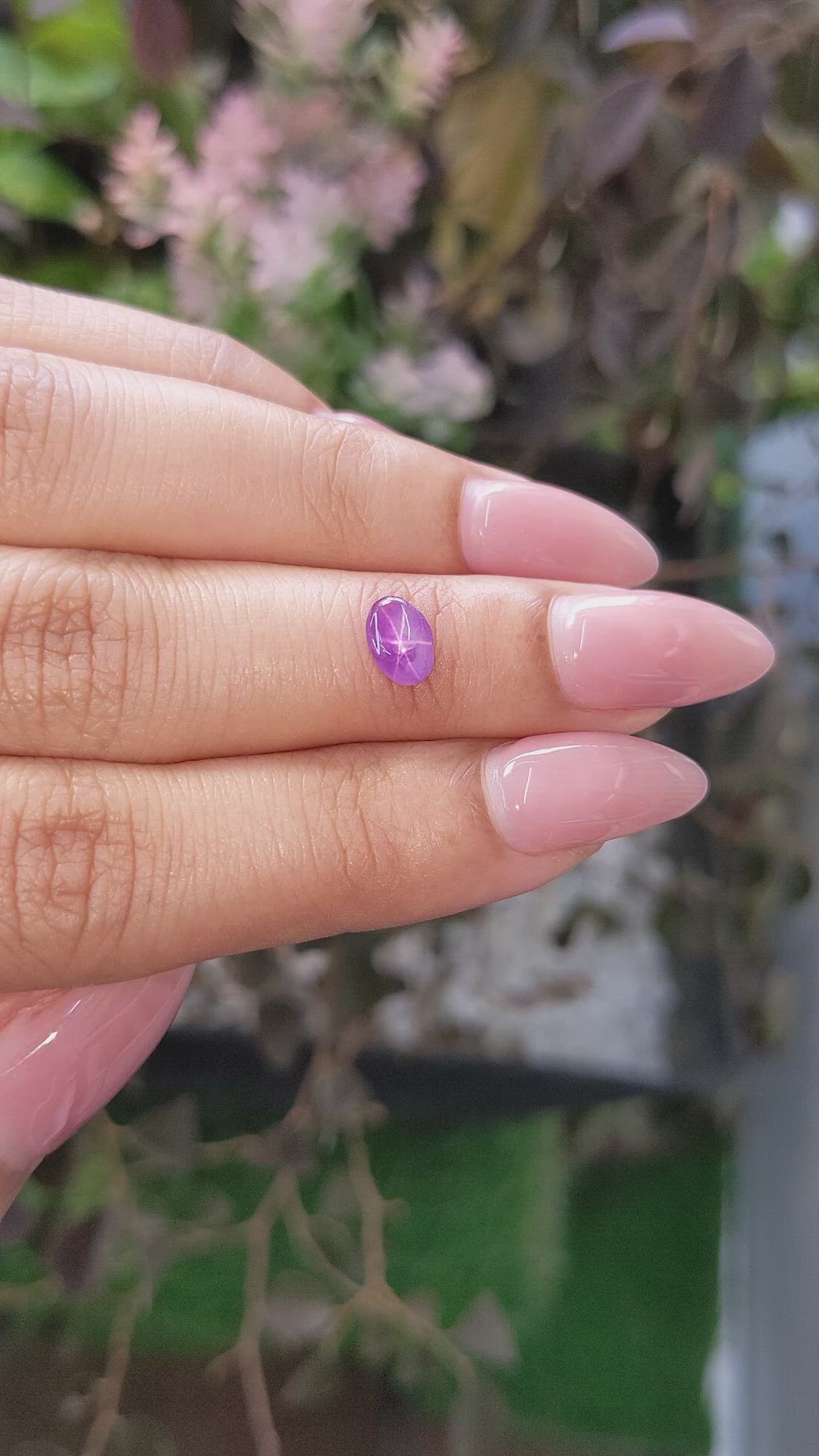 0.77 Ct. Purple Star Sapphire from Ceylon (Sri Lanka) Size Video