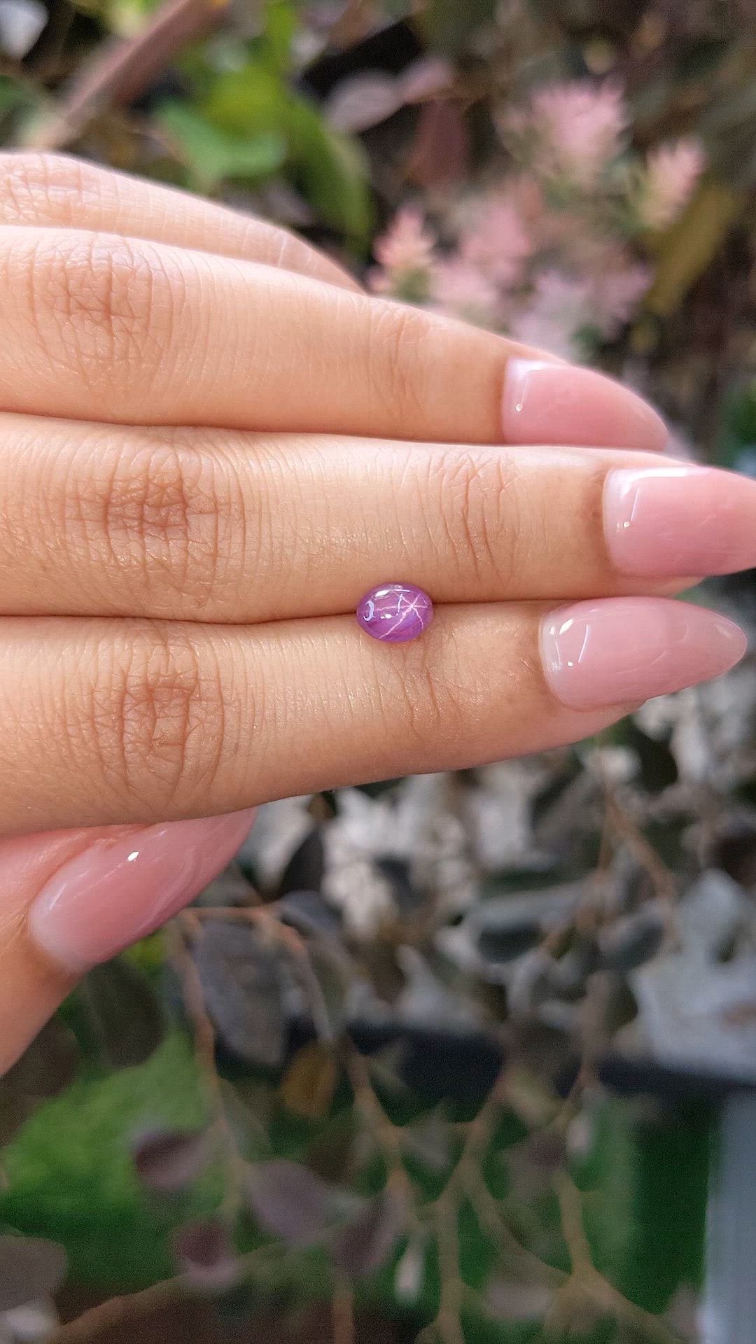 1.25 Ct. Pinkish Purple Star Sapphire from Ceylon (Sri Lanka) Size Video