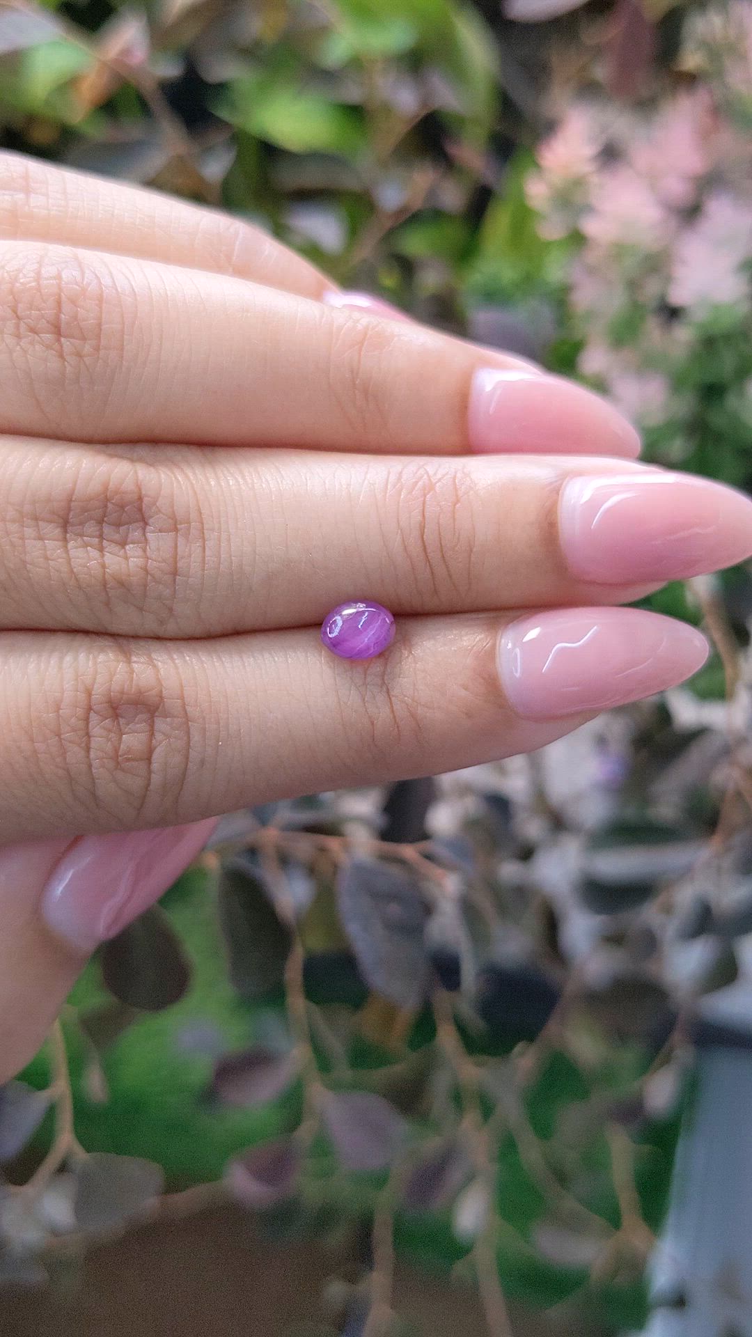 1.25 Ct. Pinkish Purple Star Sapphire from Ceylon (Sri Lanka) Size Video