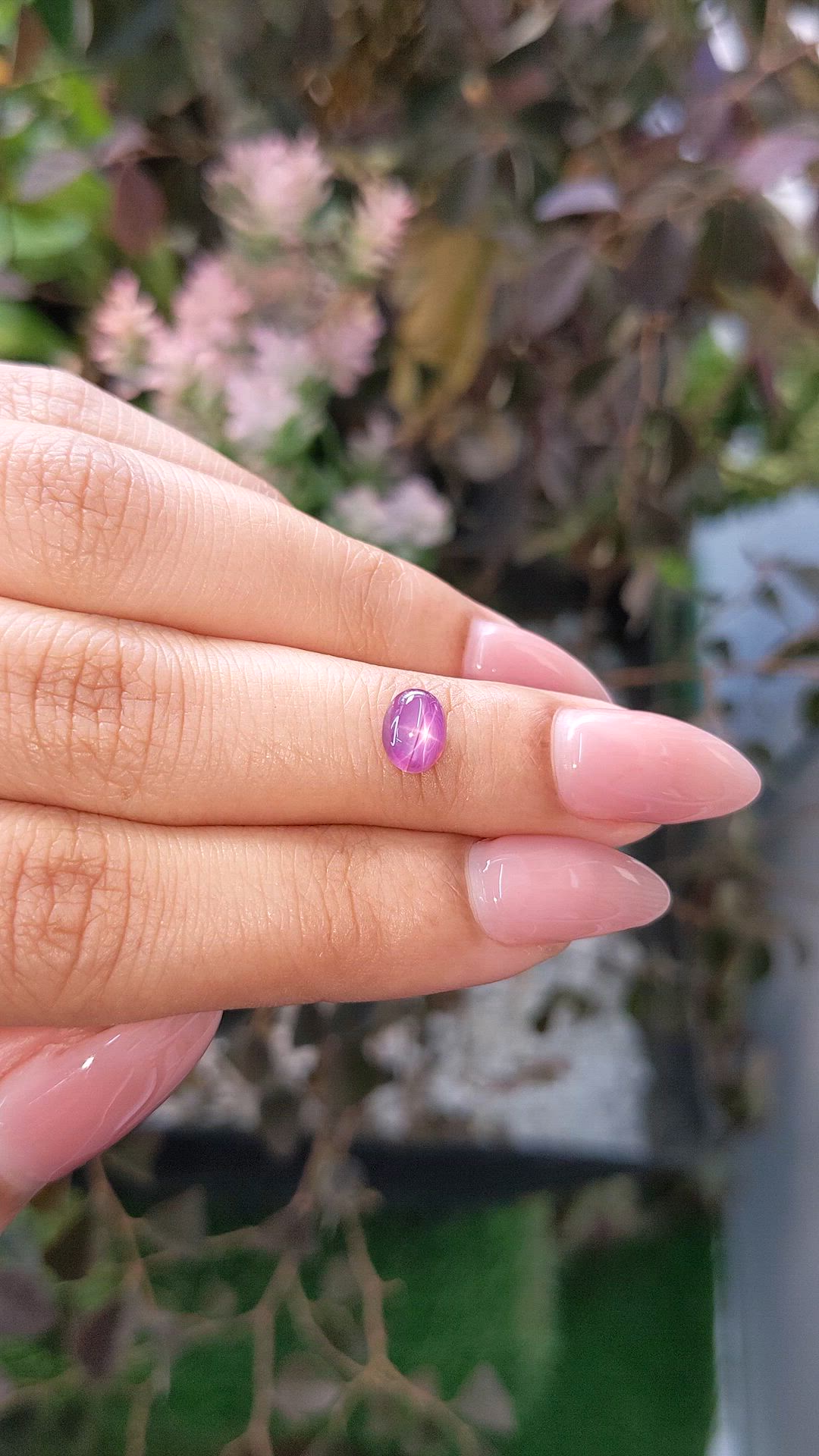 1.08 Ct. Pinkish Purple Star Sapphire from Ceylon (Sri Lanka) Size Video