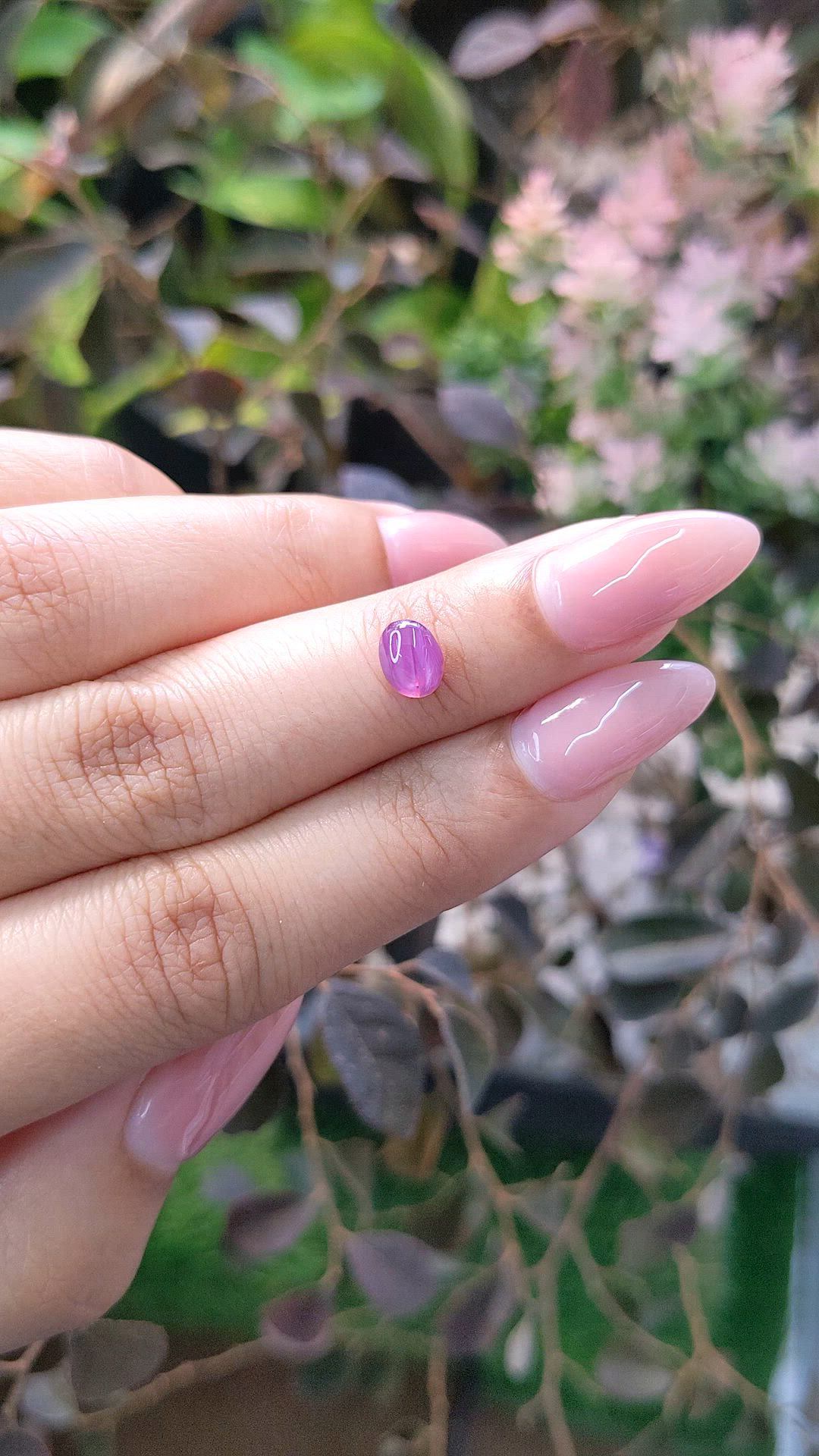 1.08 Ct. Pinkish Purple Star Sapphire from Ceylon (Sri Lanka) Size Video
