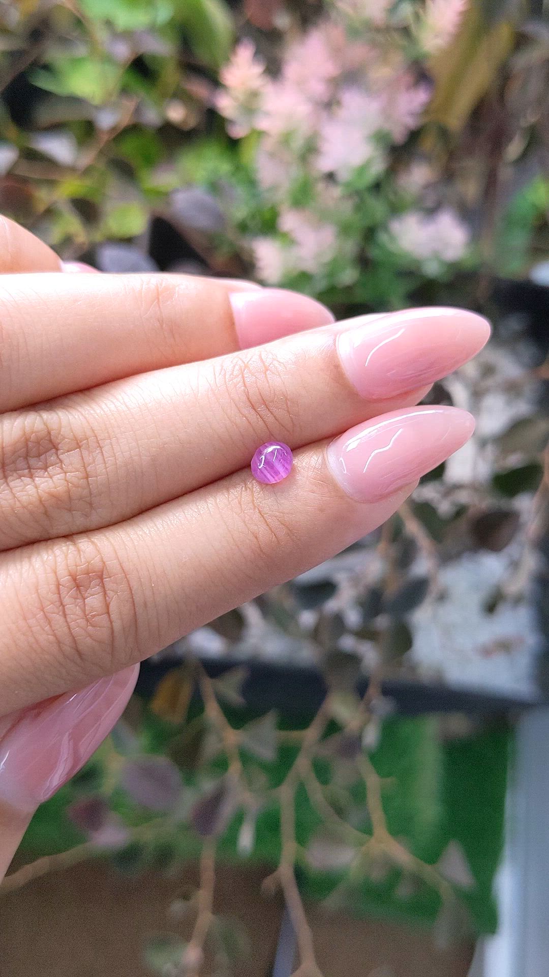 0.77 Ct. Purplish Pink Star Sapphire from Ceylon (Sri Lanka) Size Video