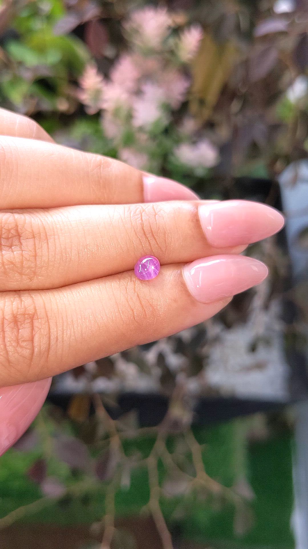 0.77 Ct. Purplish Pink Star Sapphire from Ceylon (Sri Lanka) Size Video