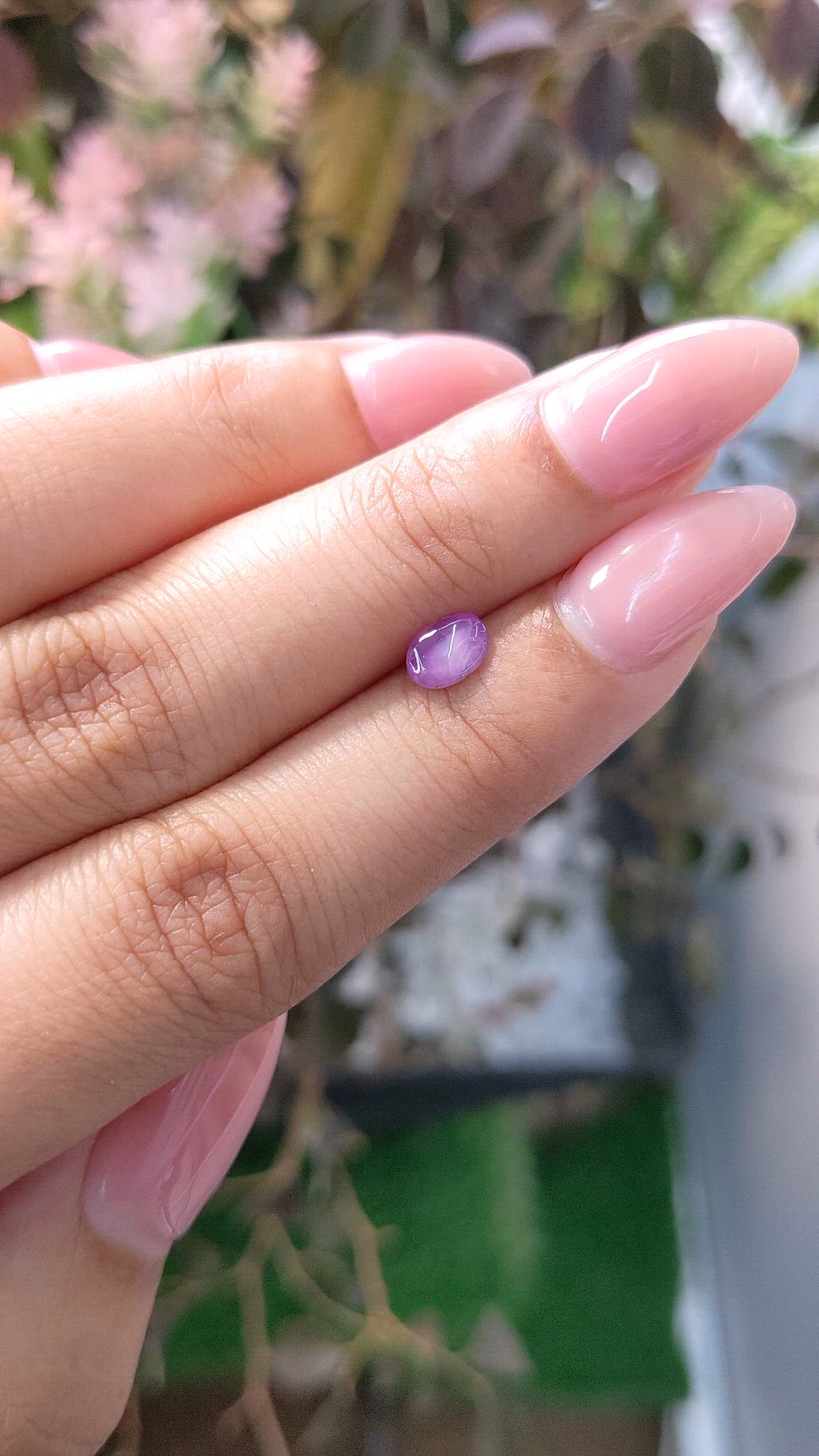 0.70 Ct. Purple Star Sapphire from Ceylon (Sri Lanka) Size Video