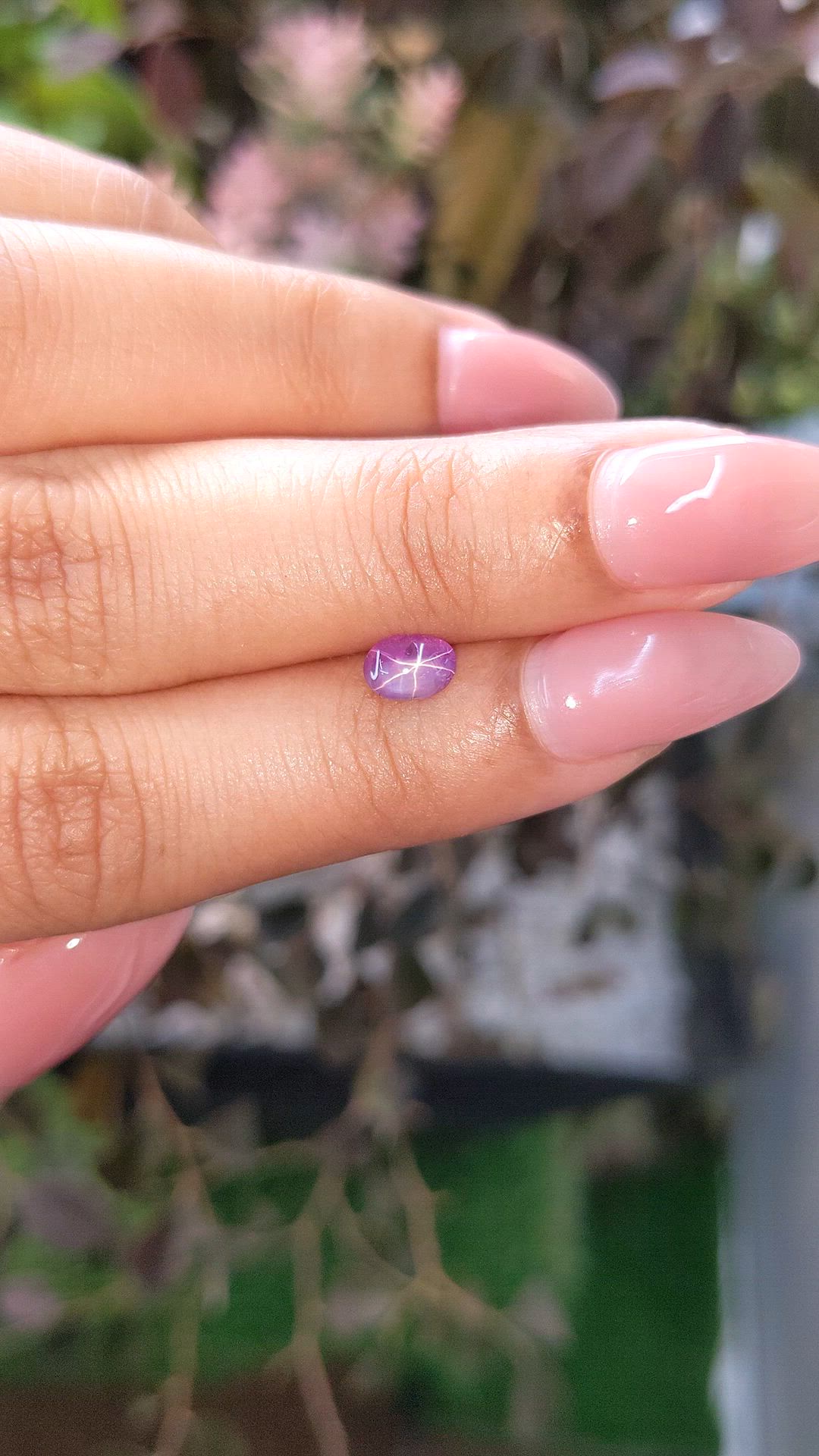 0.70 Ct. Purple Star Sapphire from Ceylon (Sri Lanka) Size Video