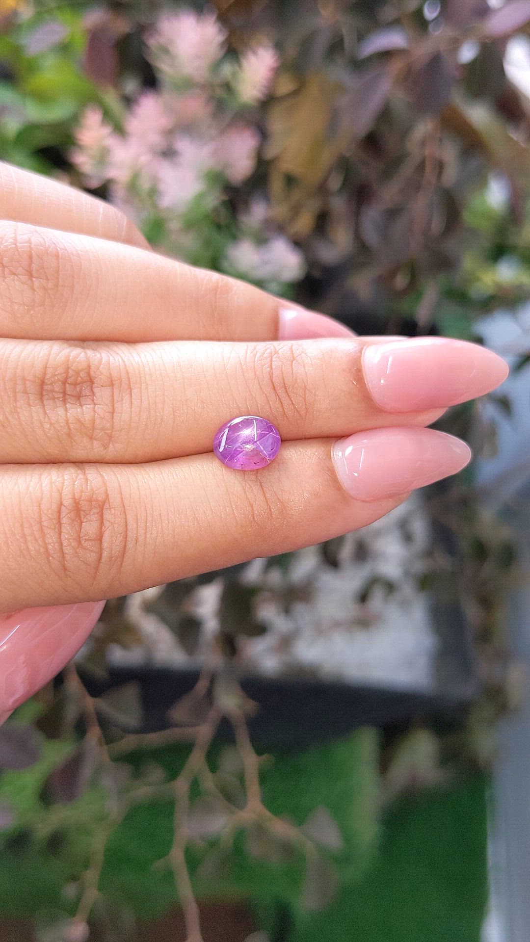 2.10 Ct. Purple Star Sapphire from Ceylon (Sri Lanka) Size Video