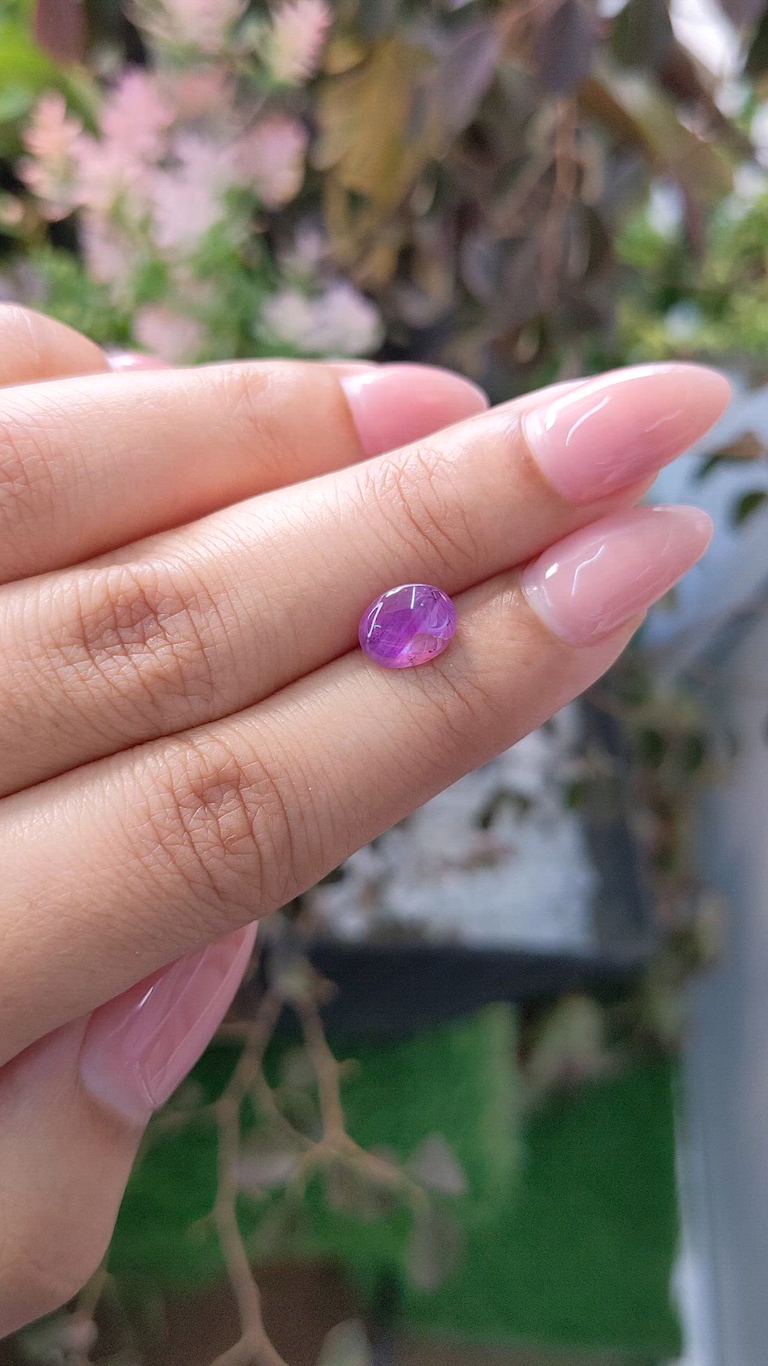 2.10 Ct. Purple Star Sapphire from Ceylon (Sri Lanka) Size Video