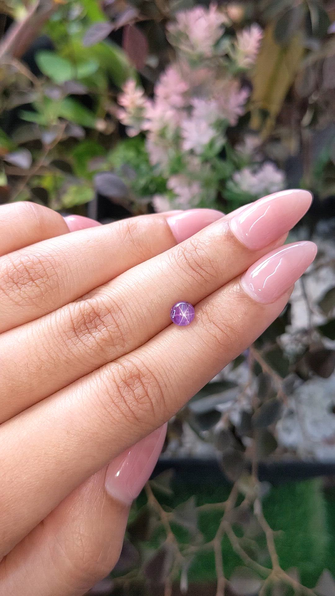 1.16 Ct. Purple Star Sapphire from Ceylon (Sri Lanka) Size Video