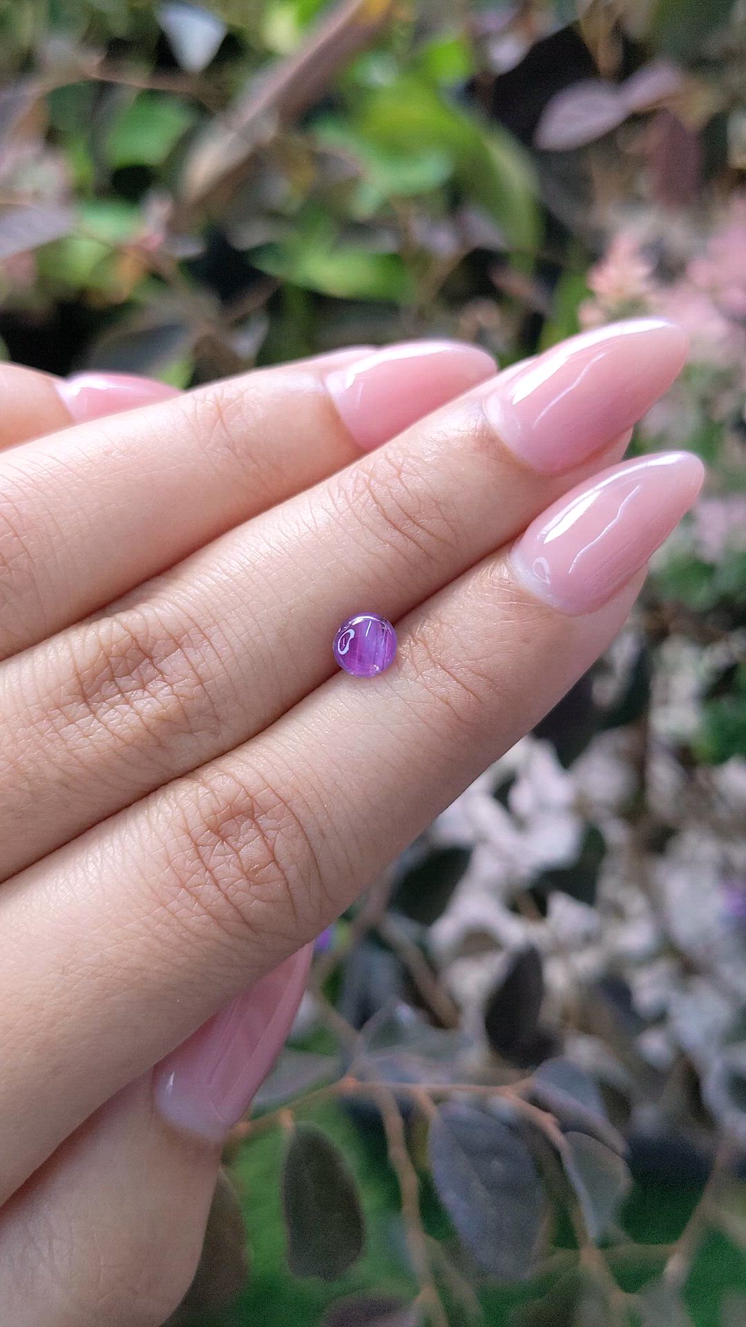 1.16 Ct. Purple Star Sapphire from Ceylon (Sri Lanka) Size Video