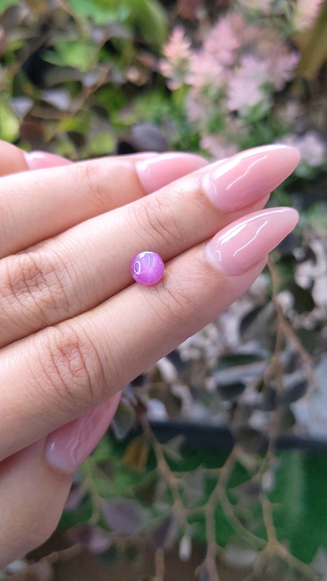 1.19 Ct. Purple Star Sapphire from Ceylon (Sri Lanka) Size Video