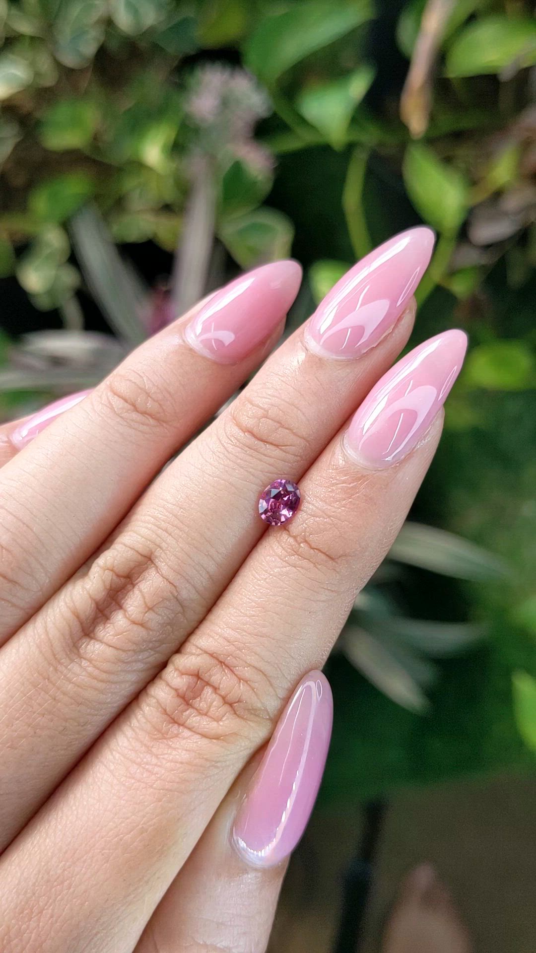 0.55 Ct. Purplish Pink Sapphire from Ceylon (Sri Lanka) Size Video