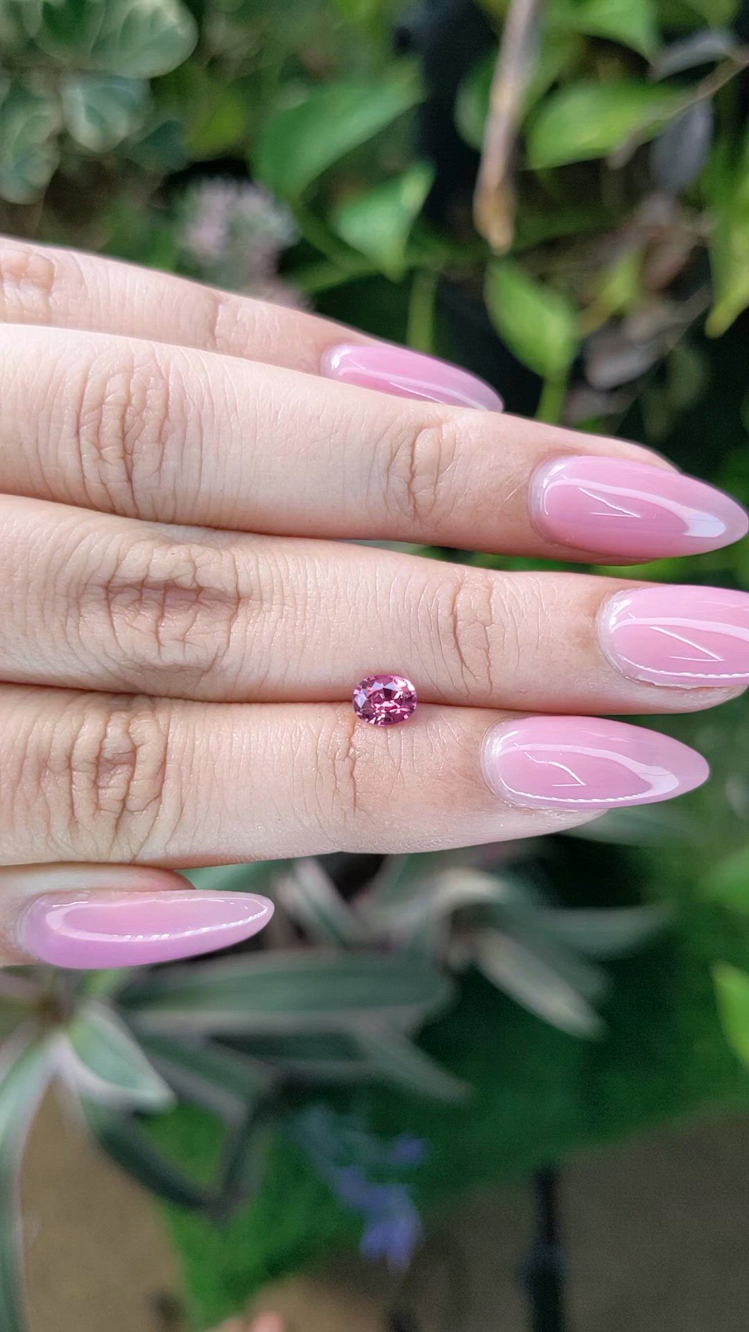 0.55 Ct. Purplish Pink Sapphire from Ceylon (Sri Lanka) Size Video
