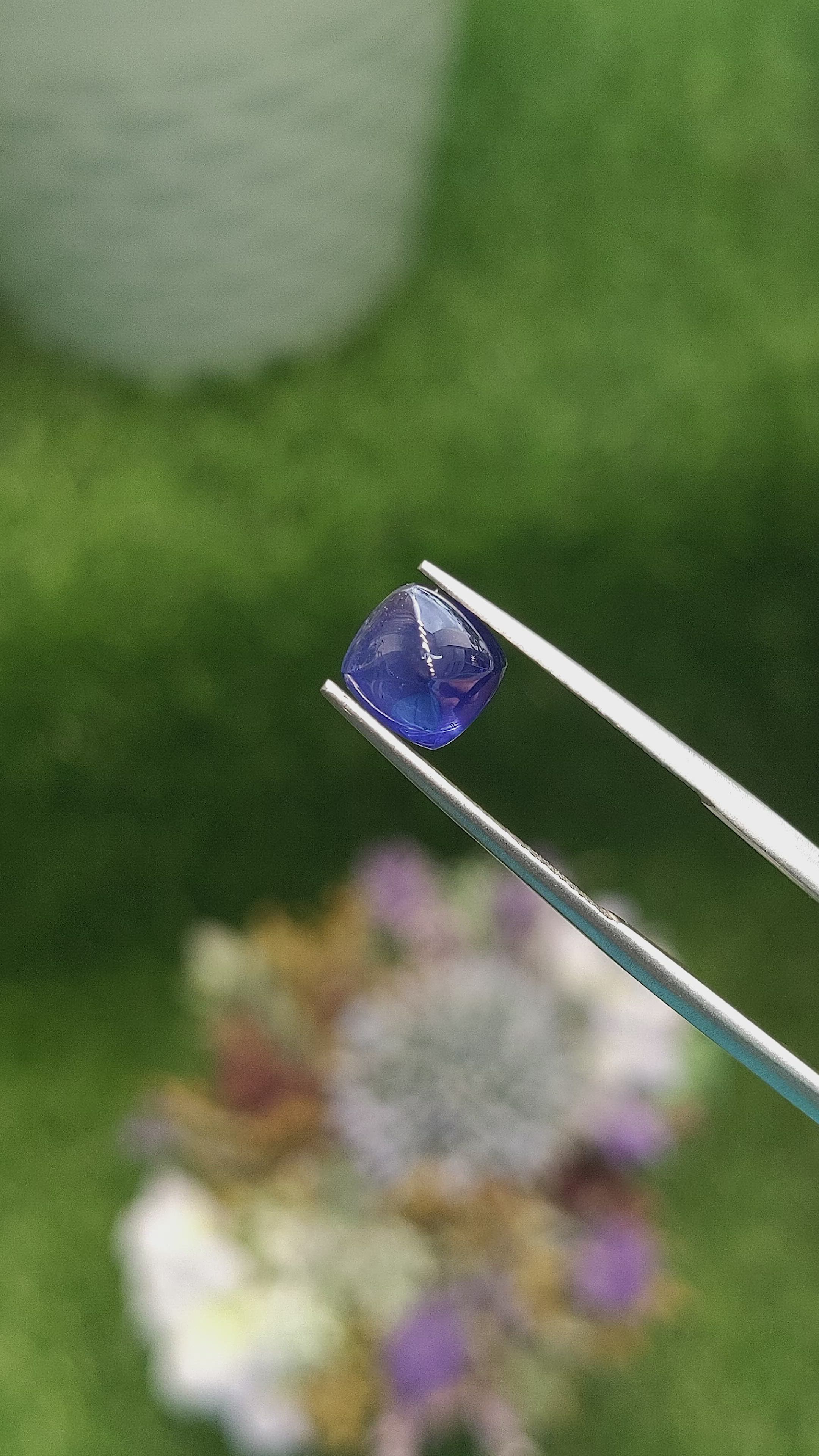 2.29 Ct. Blue Cabochon Sapphire from Ceylon (Sri Lanka) Size Video