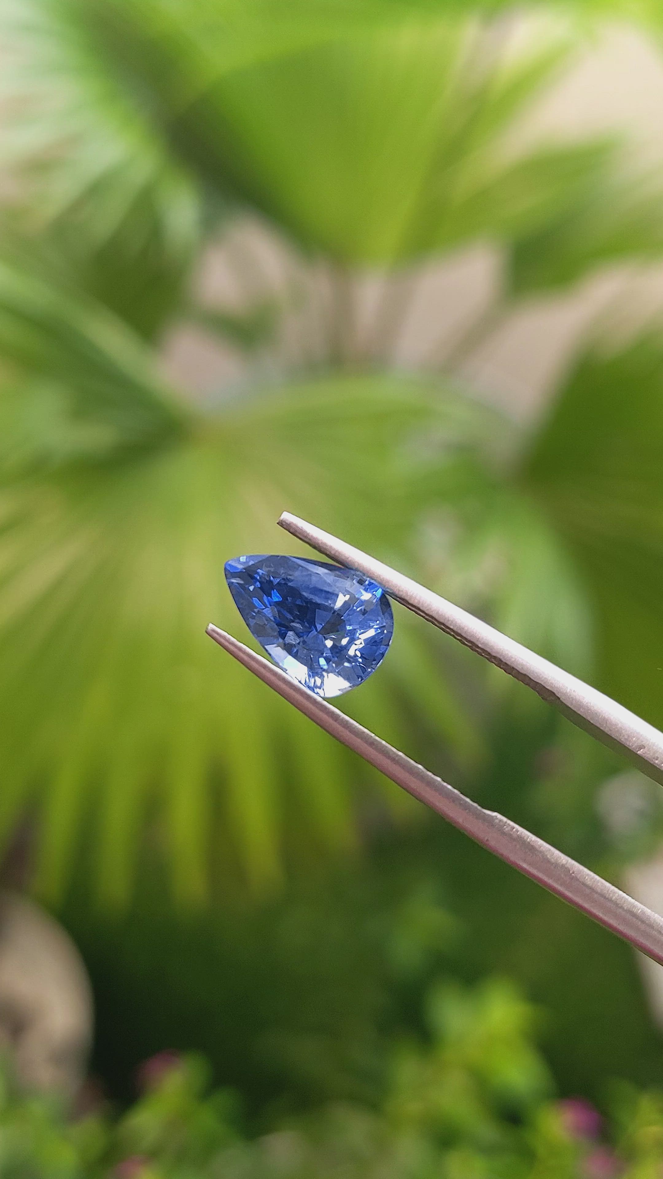 2.31 Ct. Blue Sapphire from Ceylon (Sri Lanka) Size Video