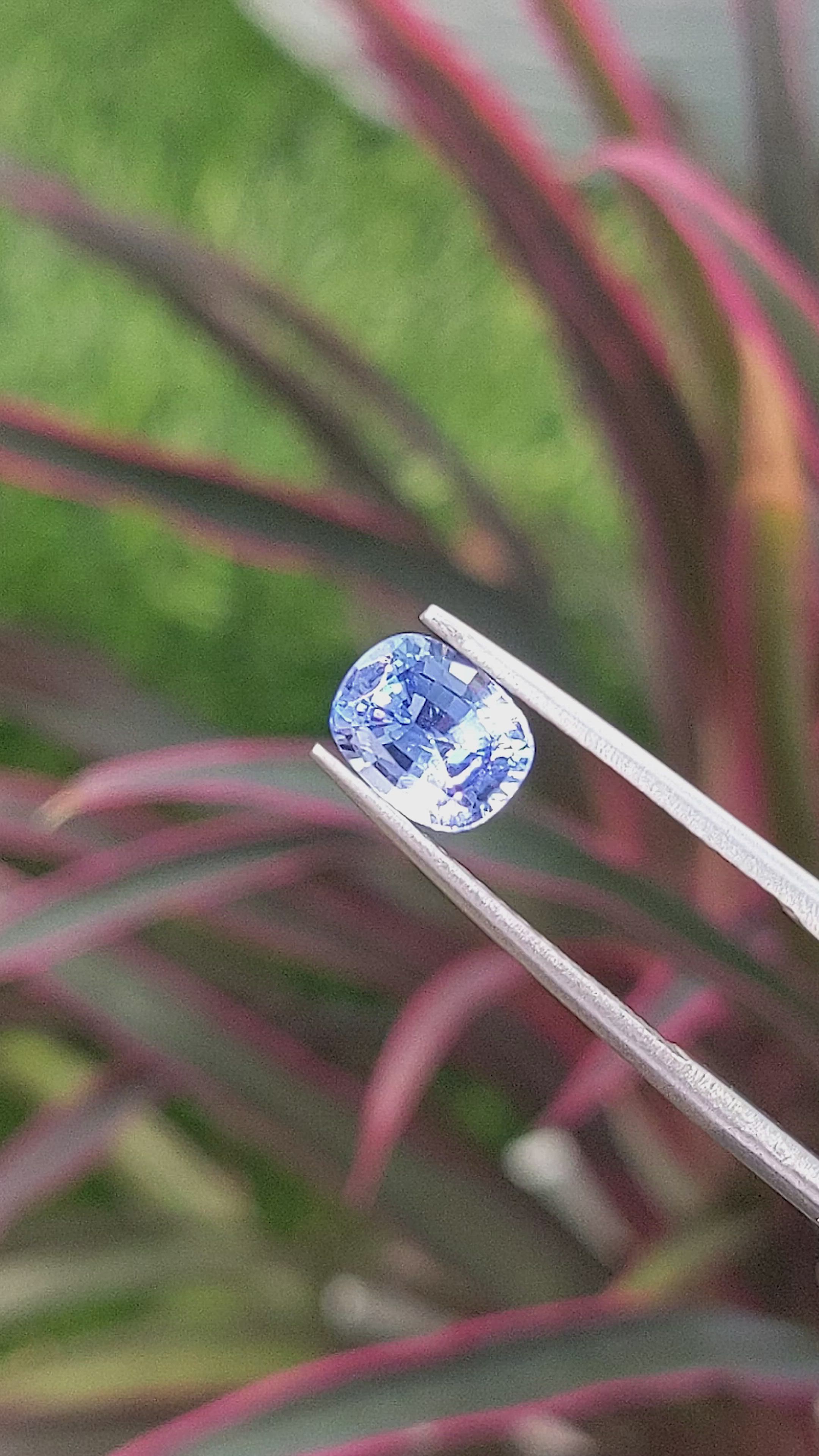 1.49 Ct. Blue Sapphire from Ceylon (Sri Lanka) Size Video
