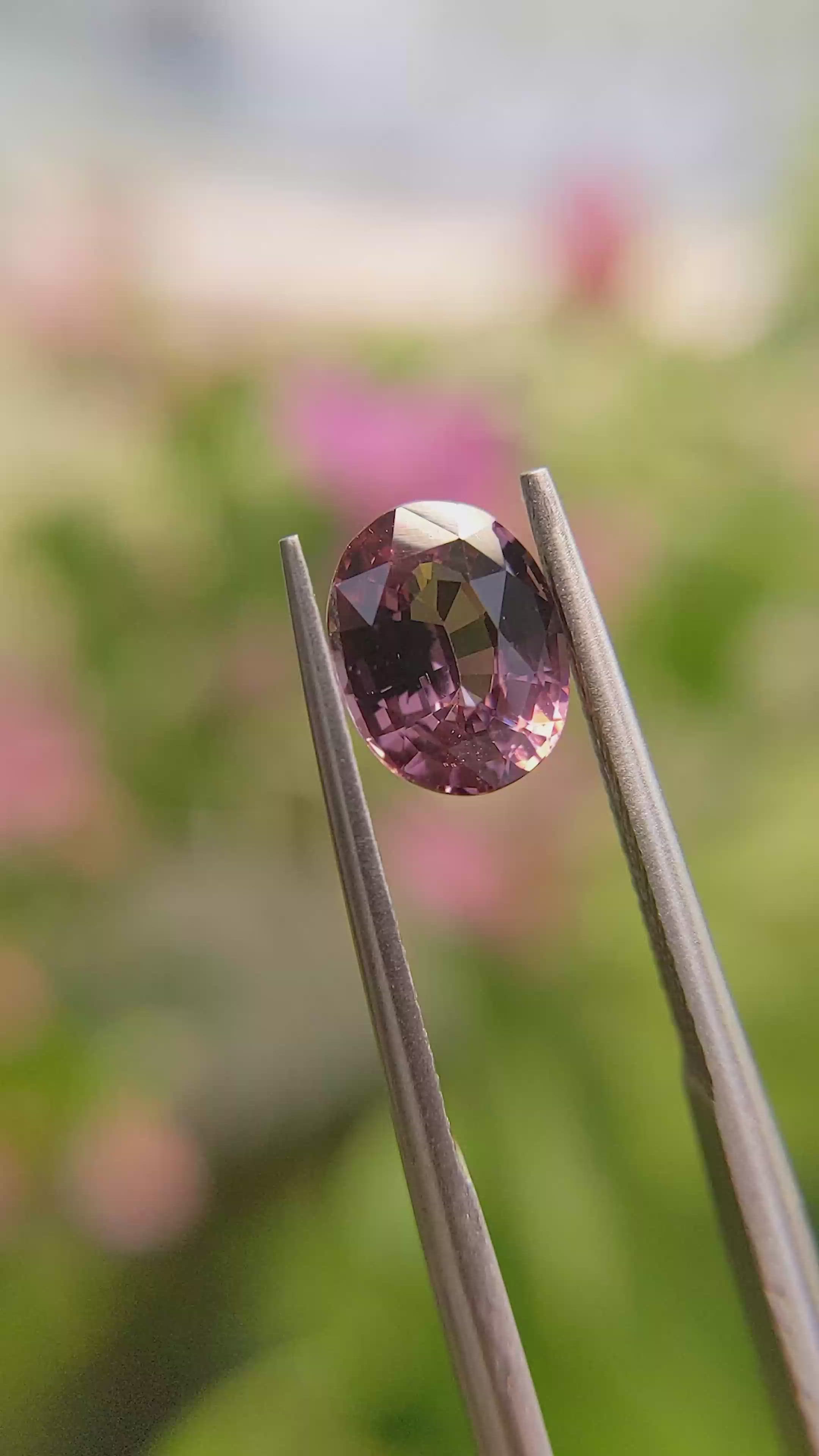 1.59 Ct. Purplish Pink Sapphire from Madagascar Size Video