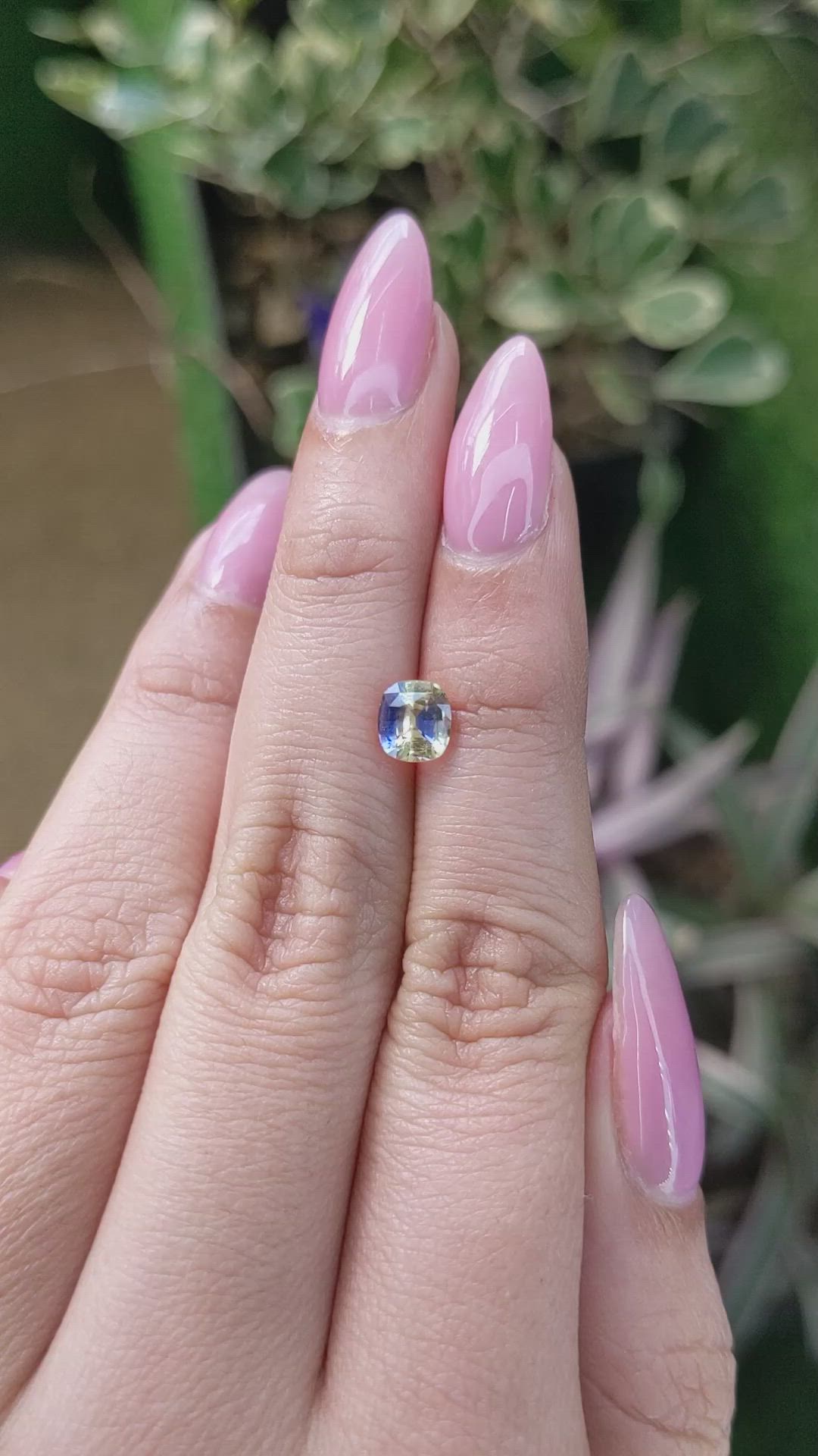 1.10 Ct. Bi Color Sapphire from Ceylon (Sri Lanka) Size Video