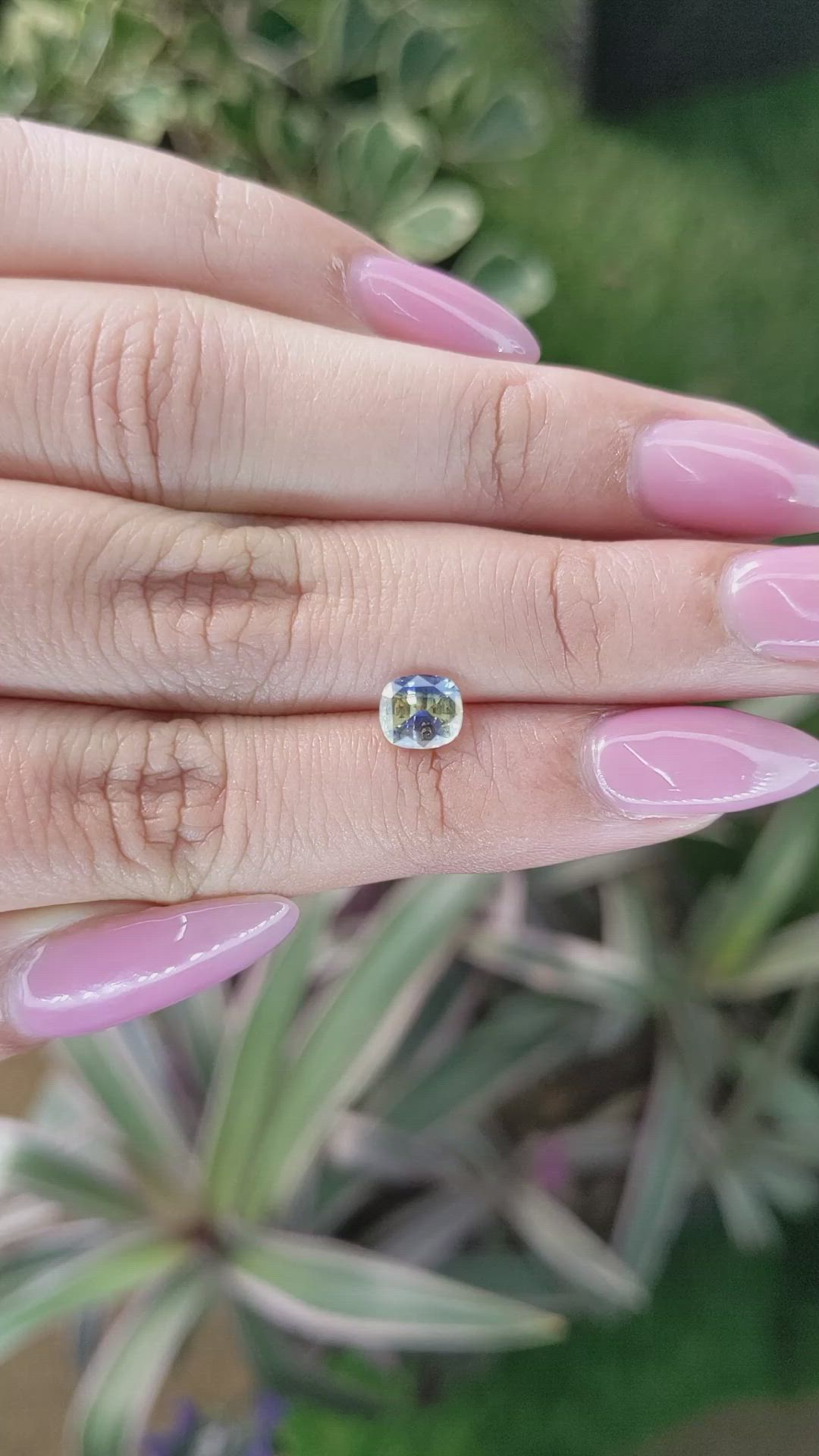 1.10 Ct. Bi Color Sapphire from Ceylon (Sri Lanka) Size Video