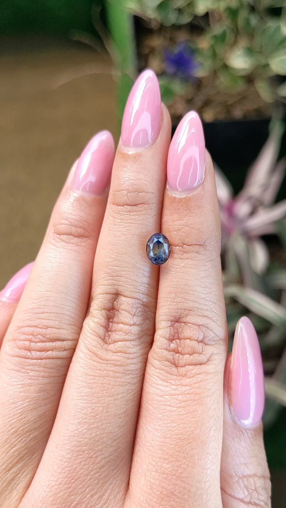 1.51 Ct. Bi Color Sapphire from Ceylon (Sri Lanka) Size Video