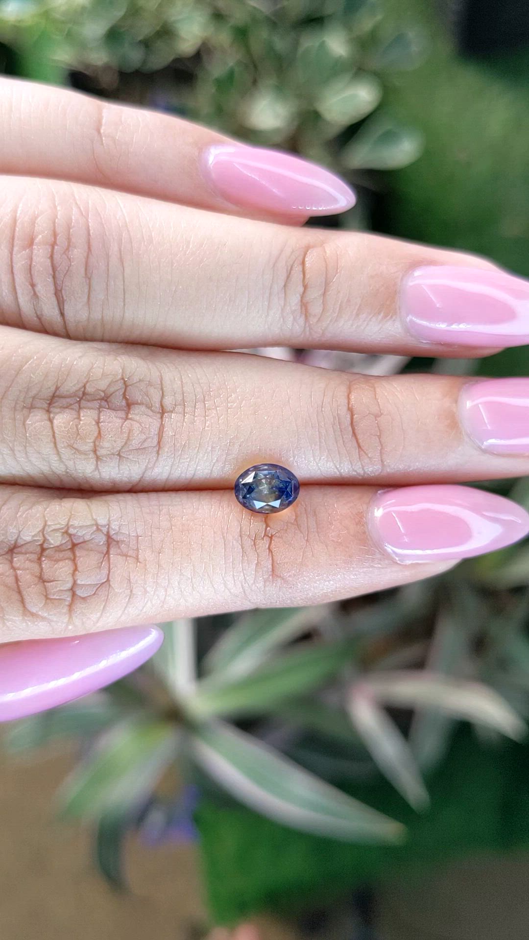 1.51 Ct. Bi Color Sapphire from Ceylon (Sri Lanka) Size Video