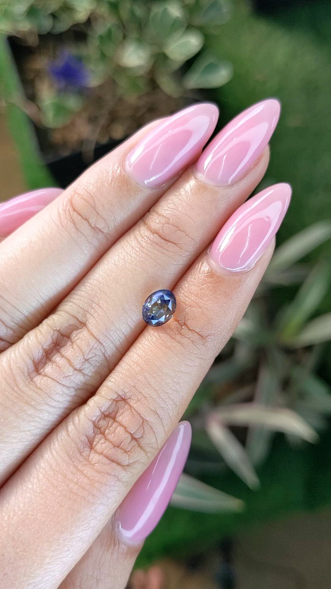 1.51 Ct. Bi Color Sapphire from Ceylon (Sri Lanka) Size Video