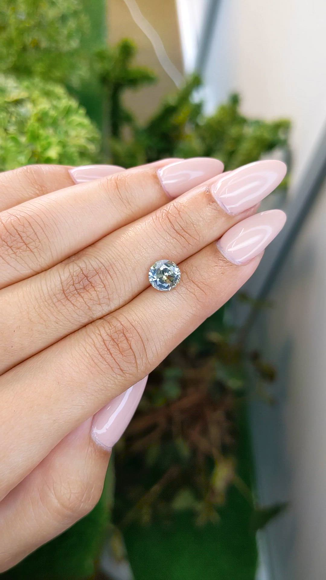 1.65 Ct. Bi Color Sapphire from Ceylon (Sri Lanka) Size Video