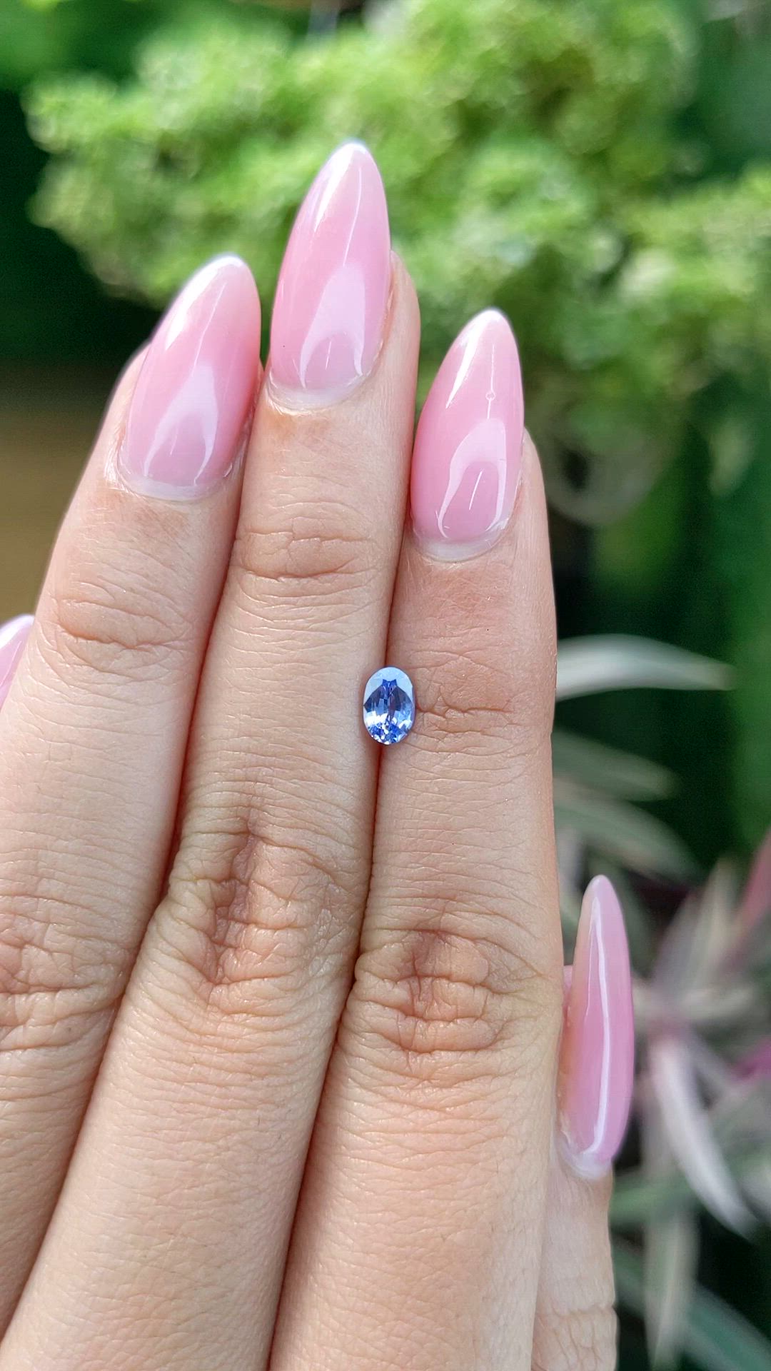 0.50 Ct. Blue Sapphire from Ceylon (Sri Lanka) Size Video