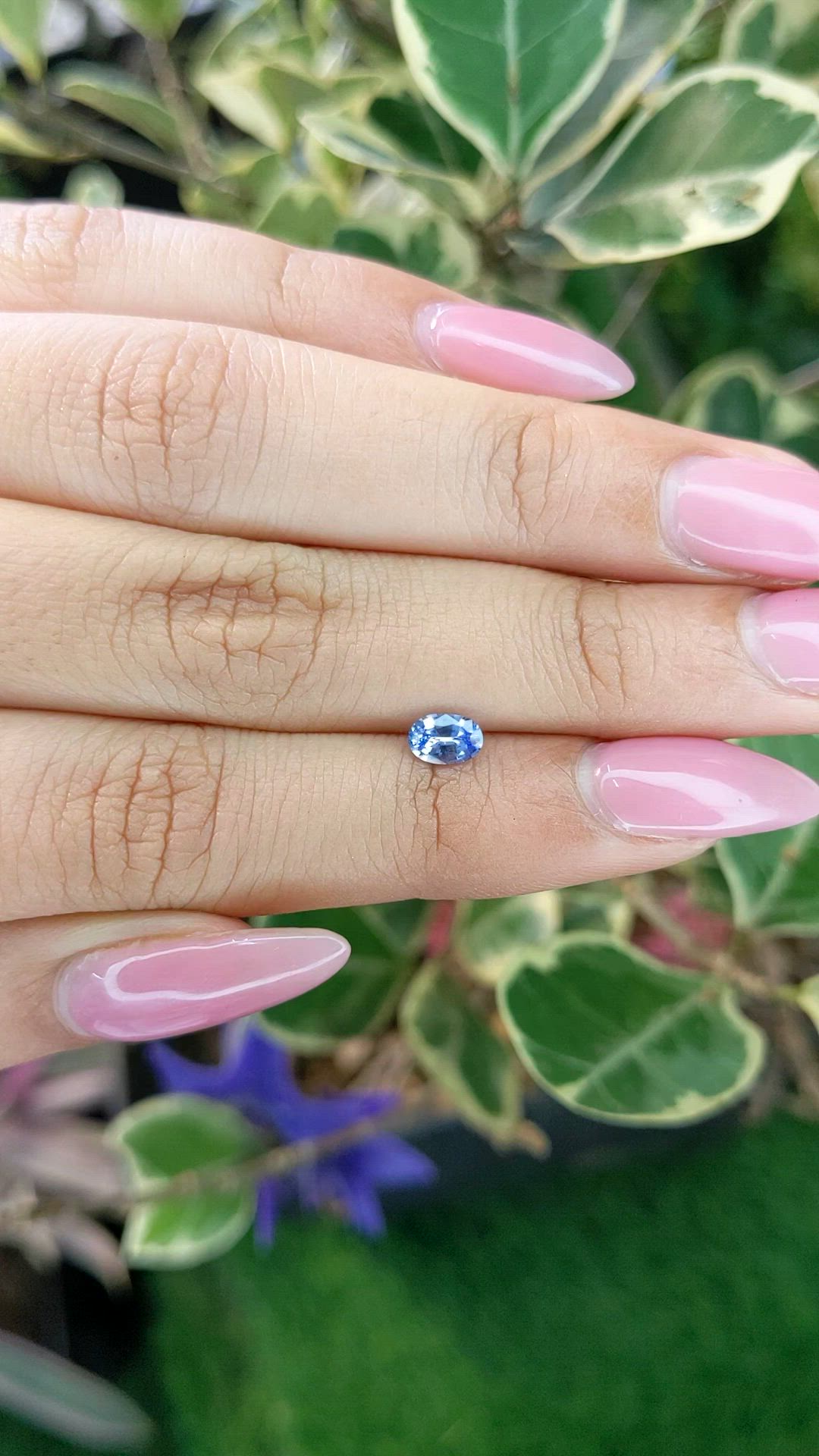 0.50 Ct. Blue Sapphire from Ceylon (Sri Lanka) Size Video