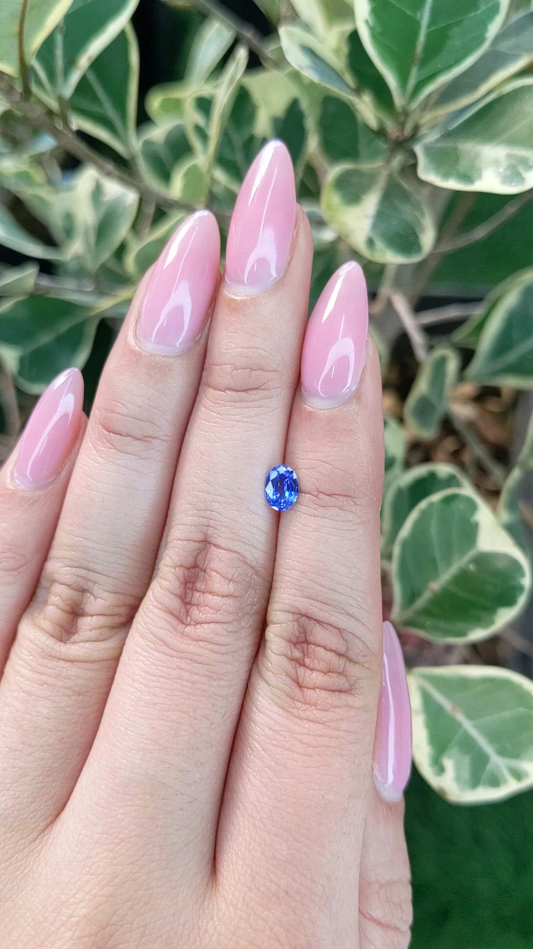 0.51 Ct. Blue Sapphire from Ceylon (Sri Lanka) Size Video