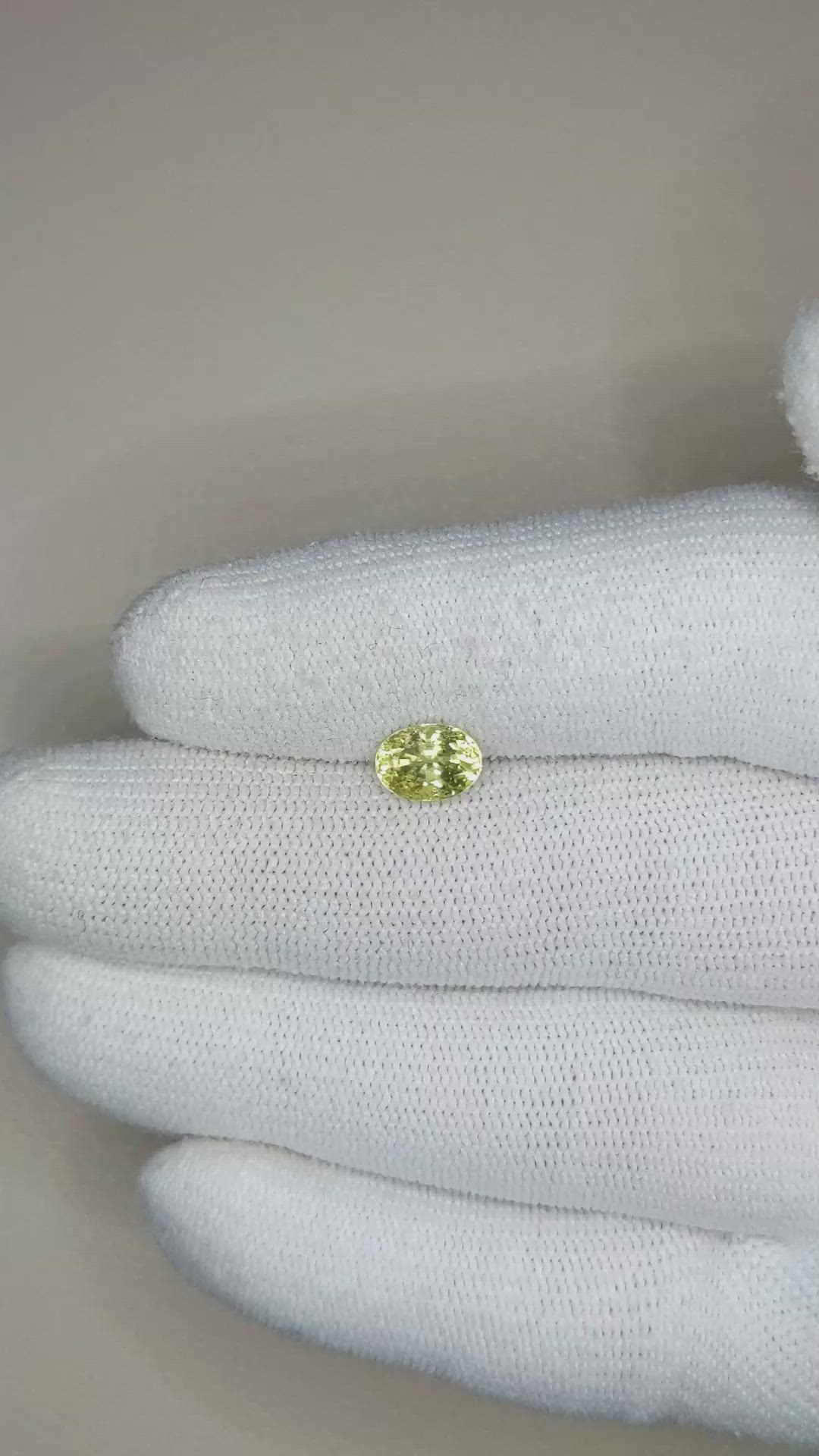 1.56 Ct. Greenish Yellow Sapphire from Ceylon (Sri Lanka) Size Video