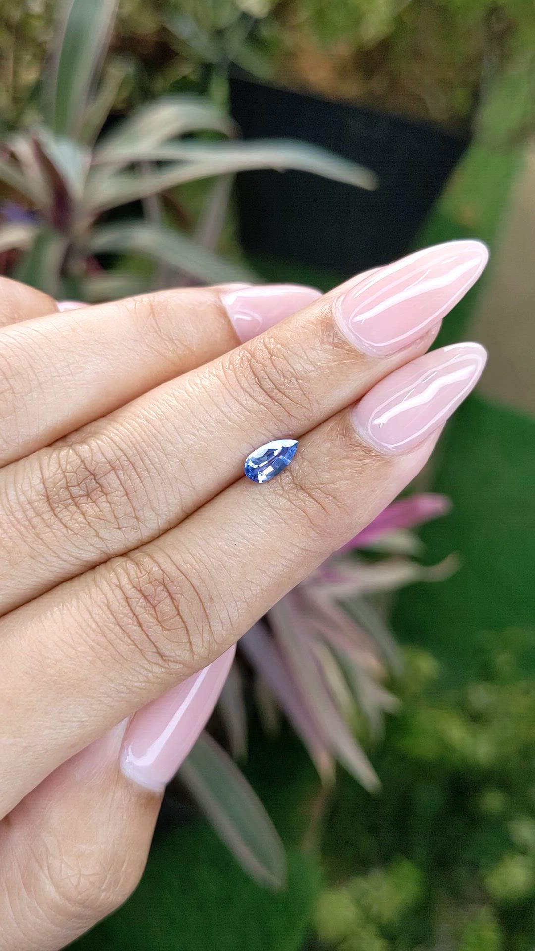 0.50 Ct. Blue Sapphire from Ceylon (Sri Lanka) Size Video