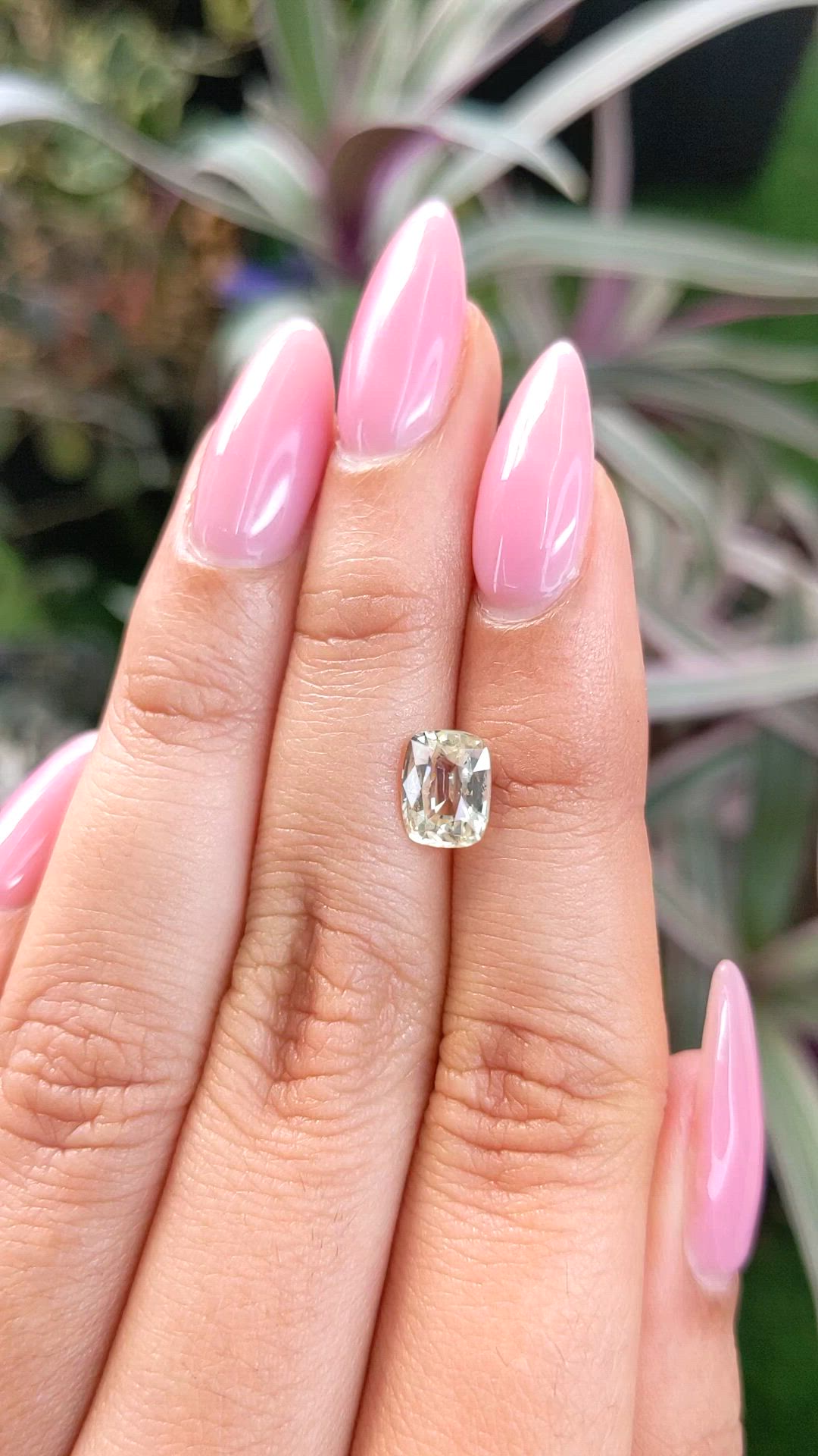 1.76 Ct. Yellow Sapphire from Ceylon (Sri Lanka) Size Video