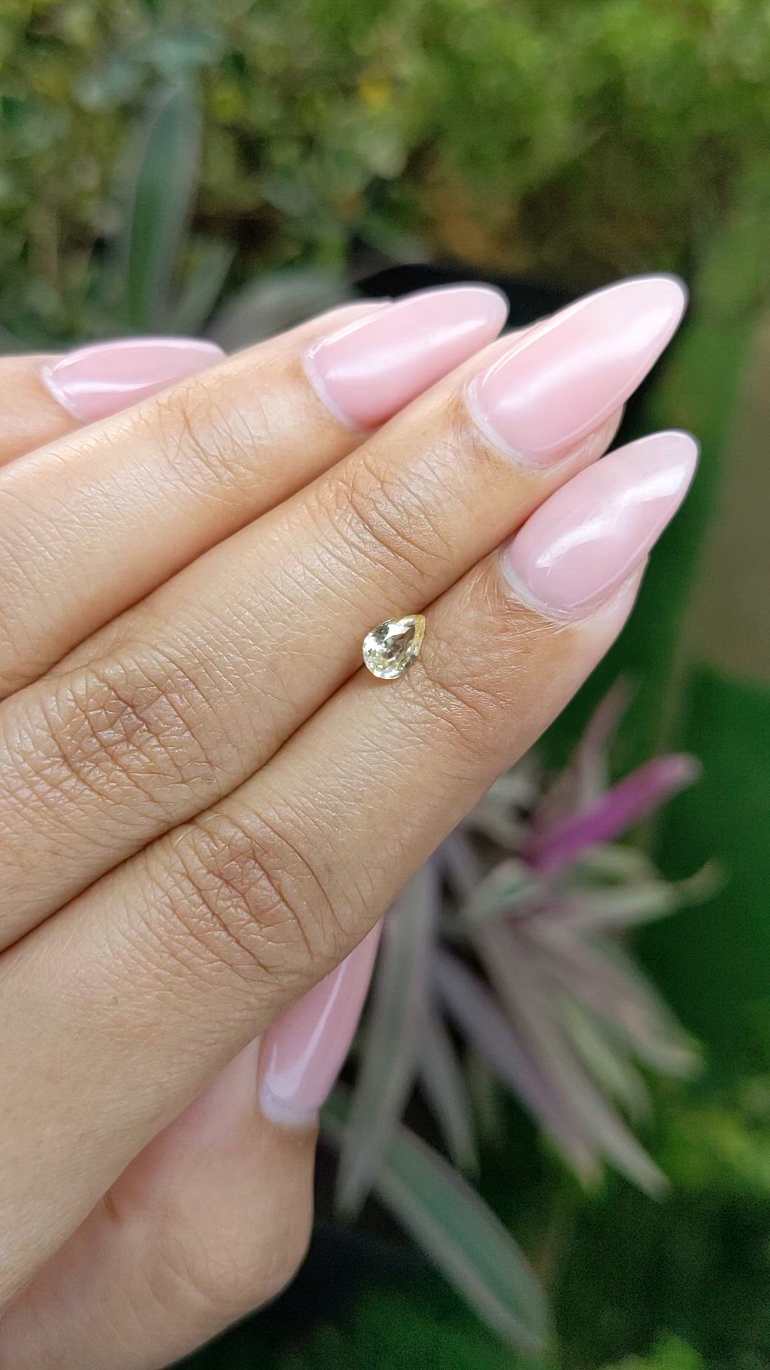 0.48 Ct. Yellow Sapphire from Ceylon (Sri Lanka) Size Video