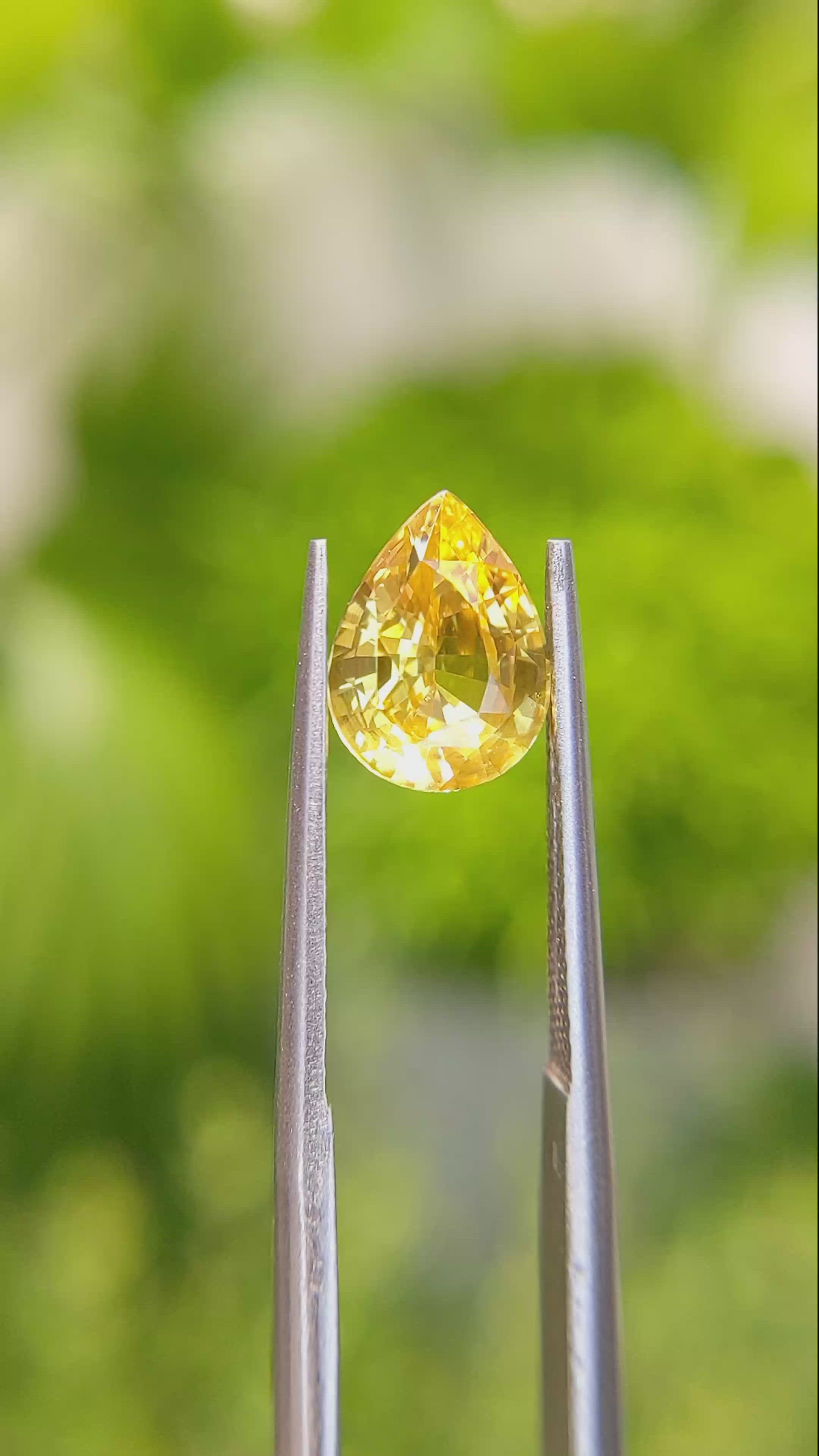 2.55 Ct. Yellow Sapphire from Ceylon (Sri Lanka) Size Video