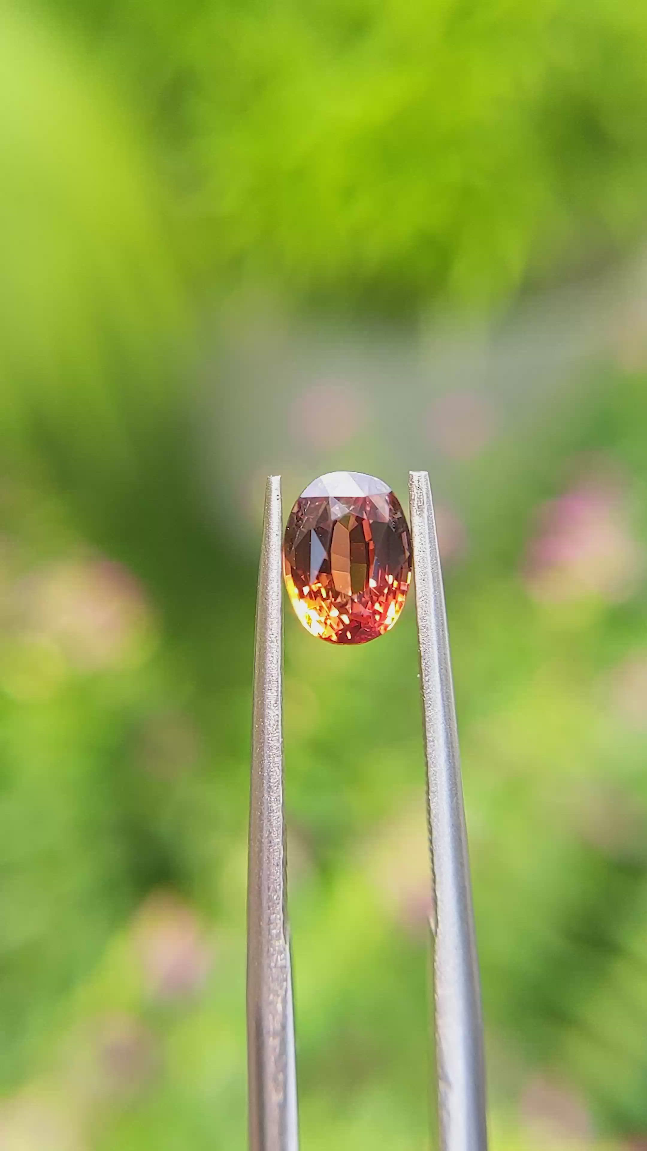 1.29 Ct. Bi Color Sapphire from Ceylon (Sri Lanka) Size Video