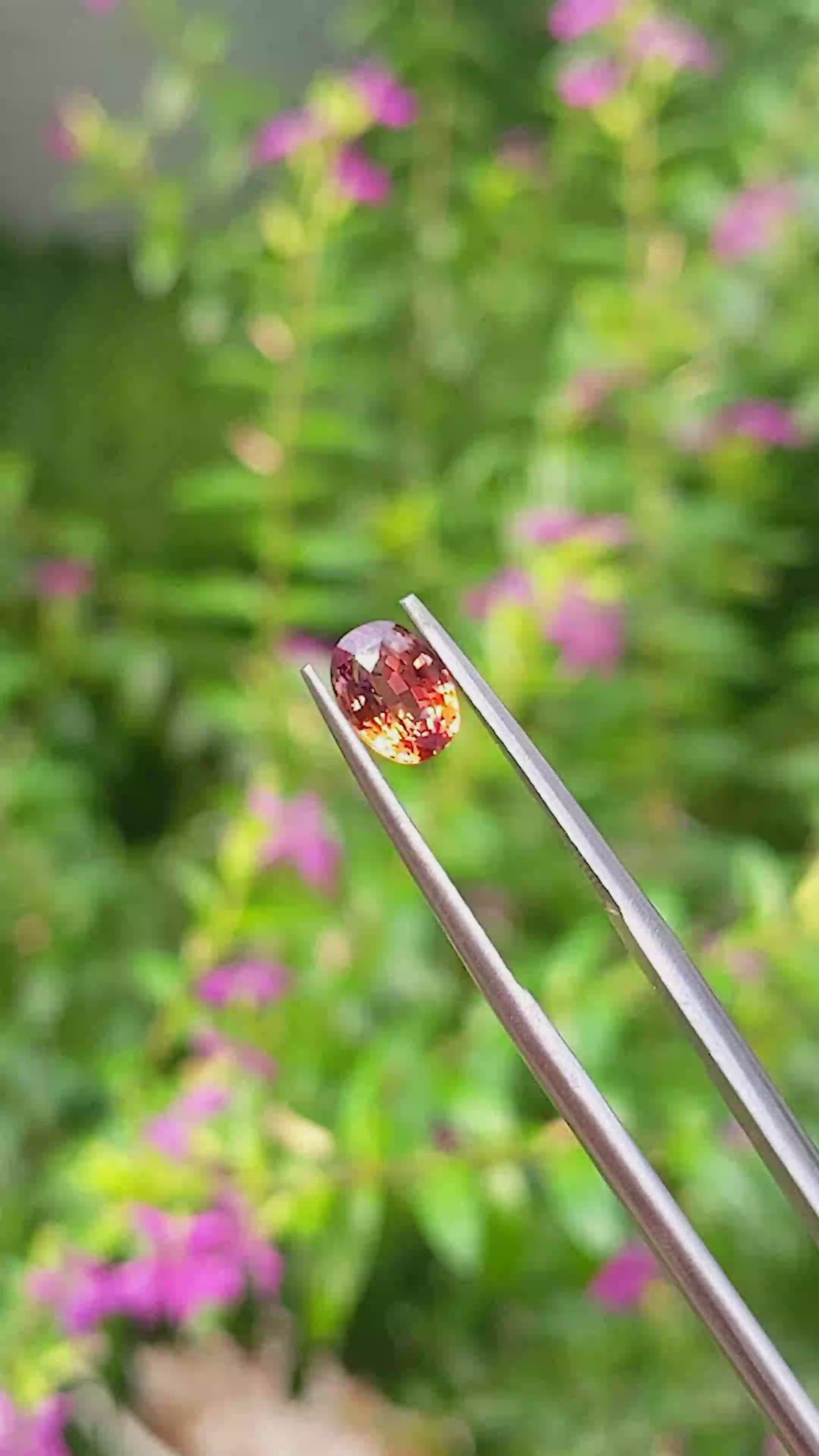 1.29 Ct. Bi Color Sapphire from Ceylon (Sri Lanka) Size Video