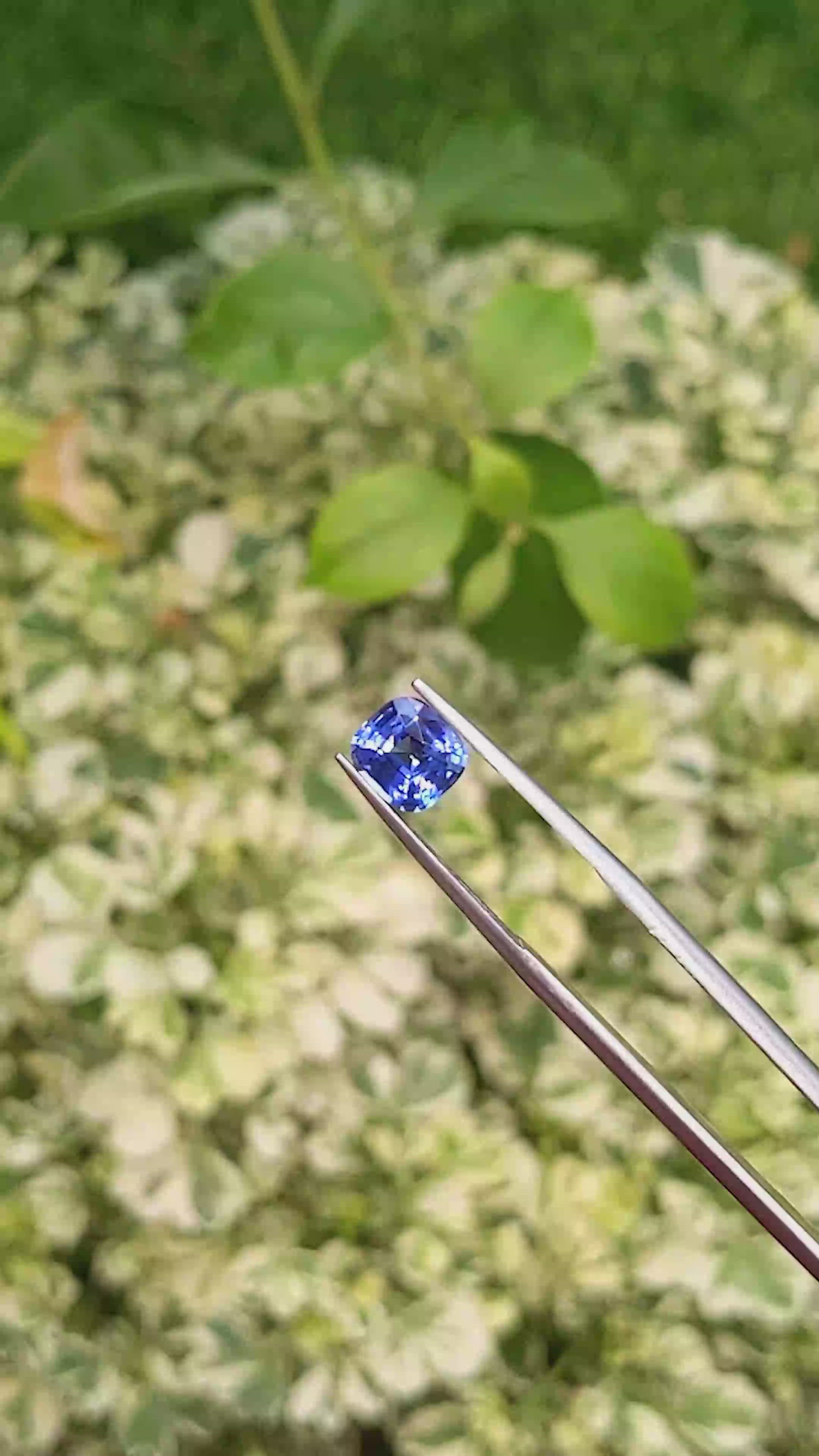 1.57 Ct. Blue Sapphire from Ceylon (Sri Lanka) Size Video