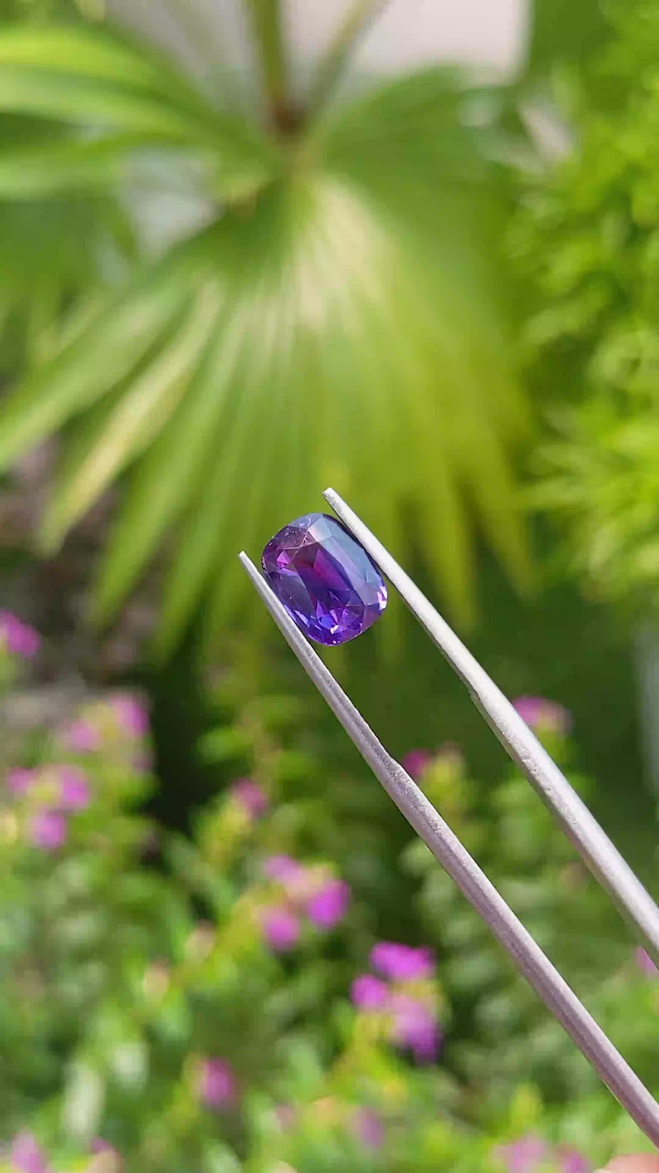3.09 Ct. Bi Color Sapphire from Ceylon (Sri Lanka) Size Video