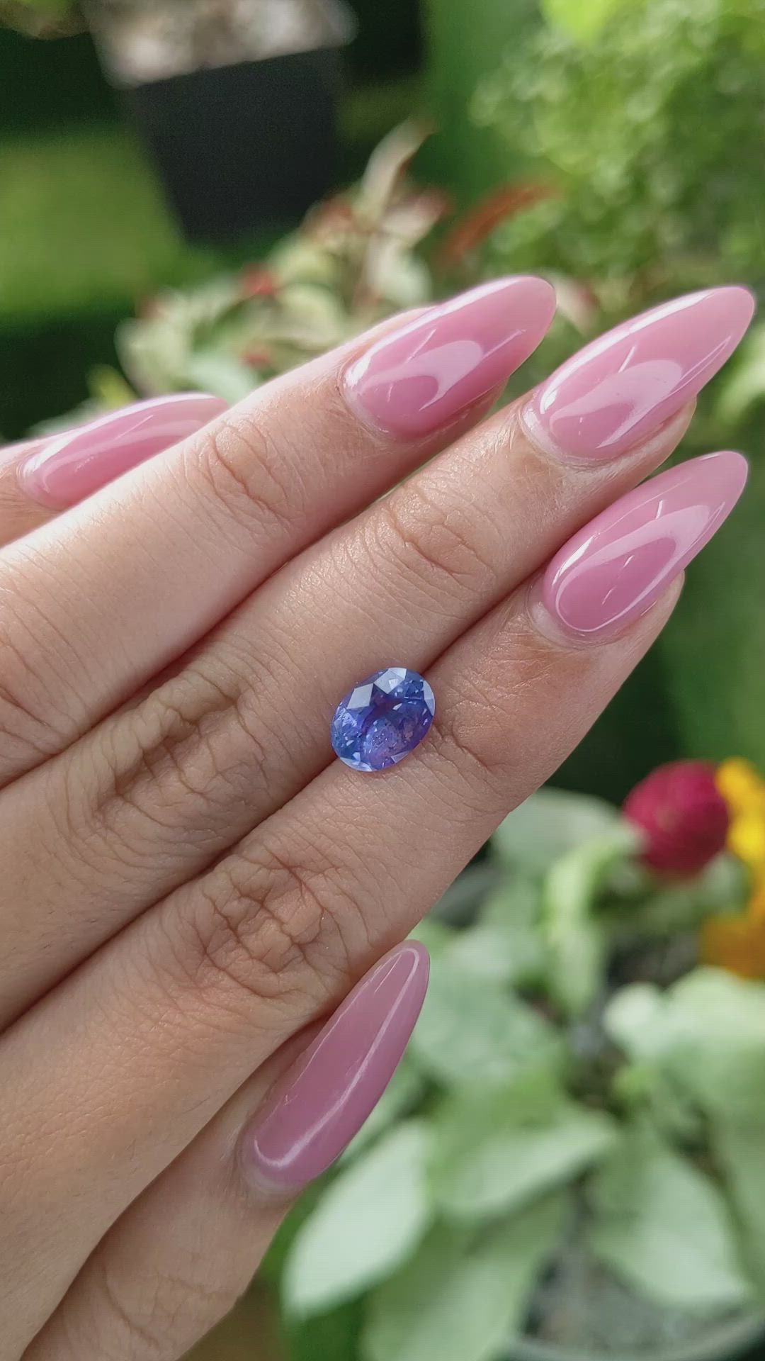 2.30 Ct. Blue Sapphire from Ceylon (Sri Lanka) Size Video