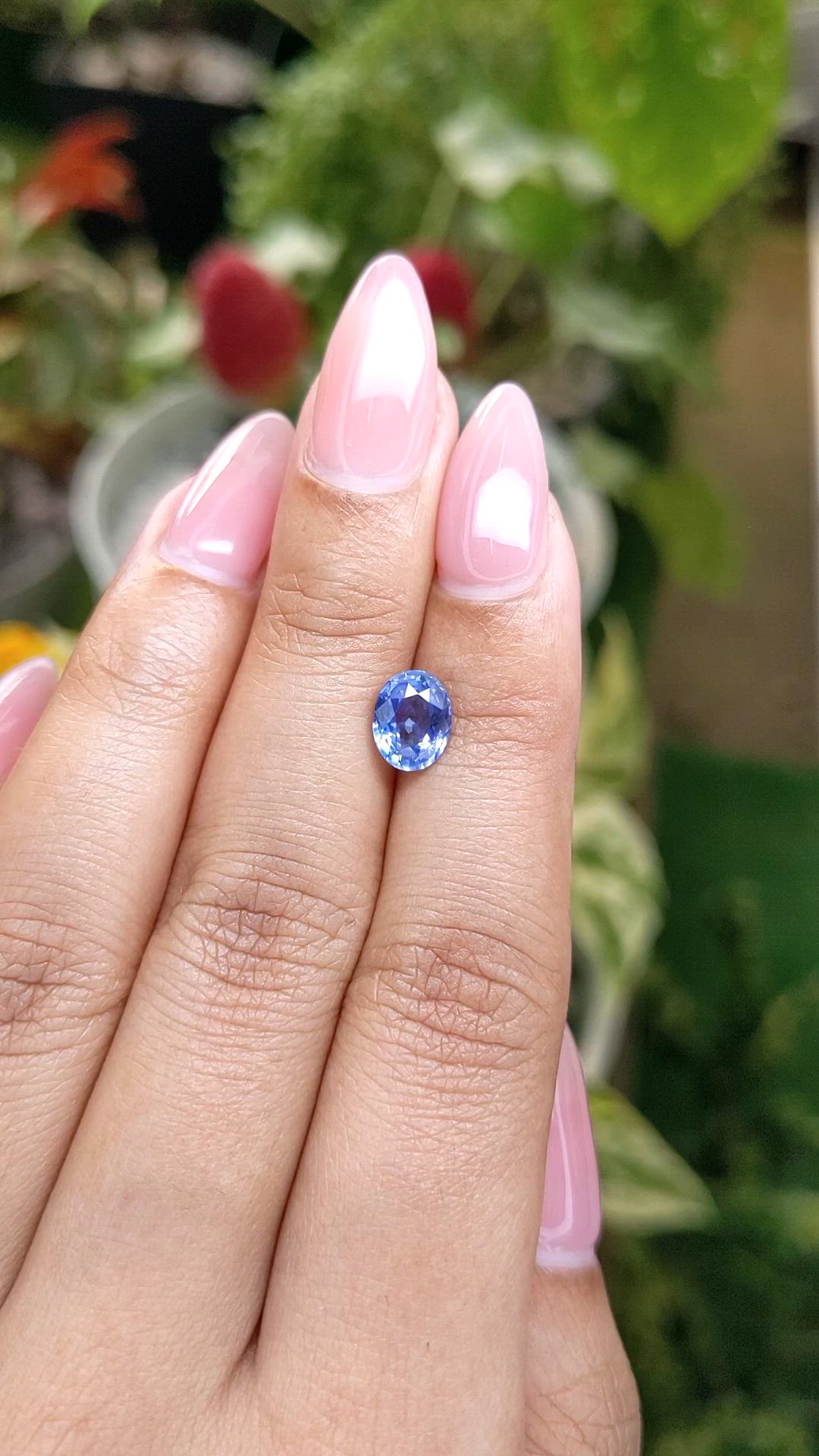 1.64 Ct. Blue Sapphire from Ceylon (Sri Lanka) Size Video